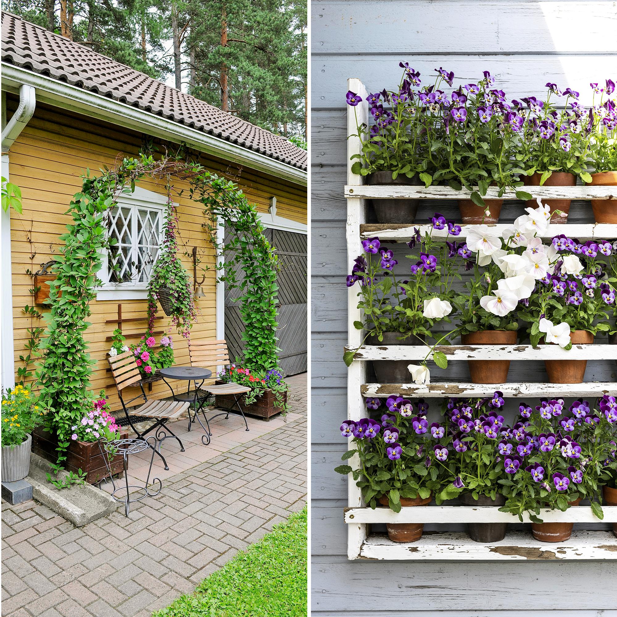 Pesukoneen rummusta amppeli! Ihanat (ja yllättävät) ideat kesäkukkaistutuksiin