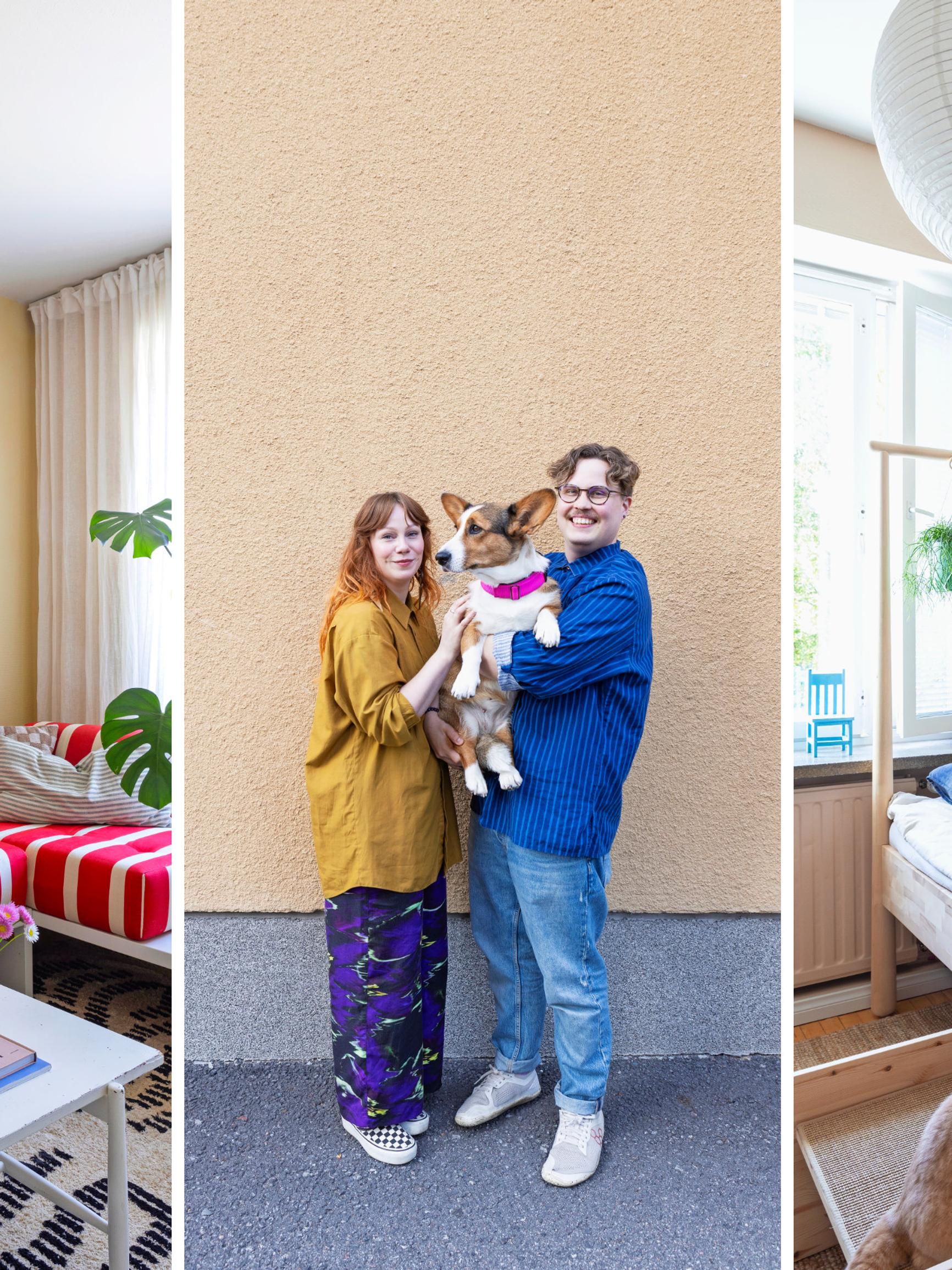 Portaat sänkyyn koiralle, kiipeilyhylly kissalle – sisustusarkkitehdin kotona lemmikeillä on omat huonekalut