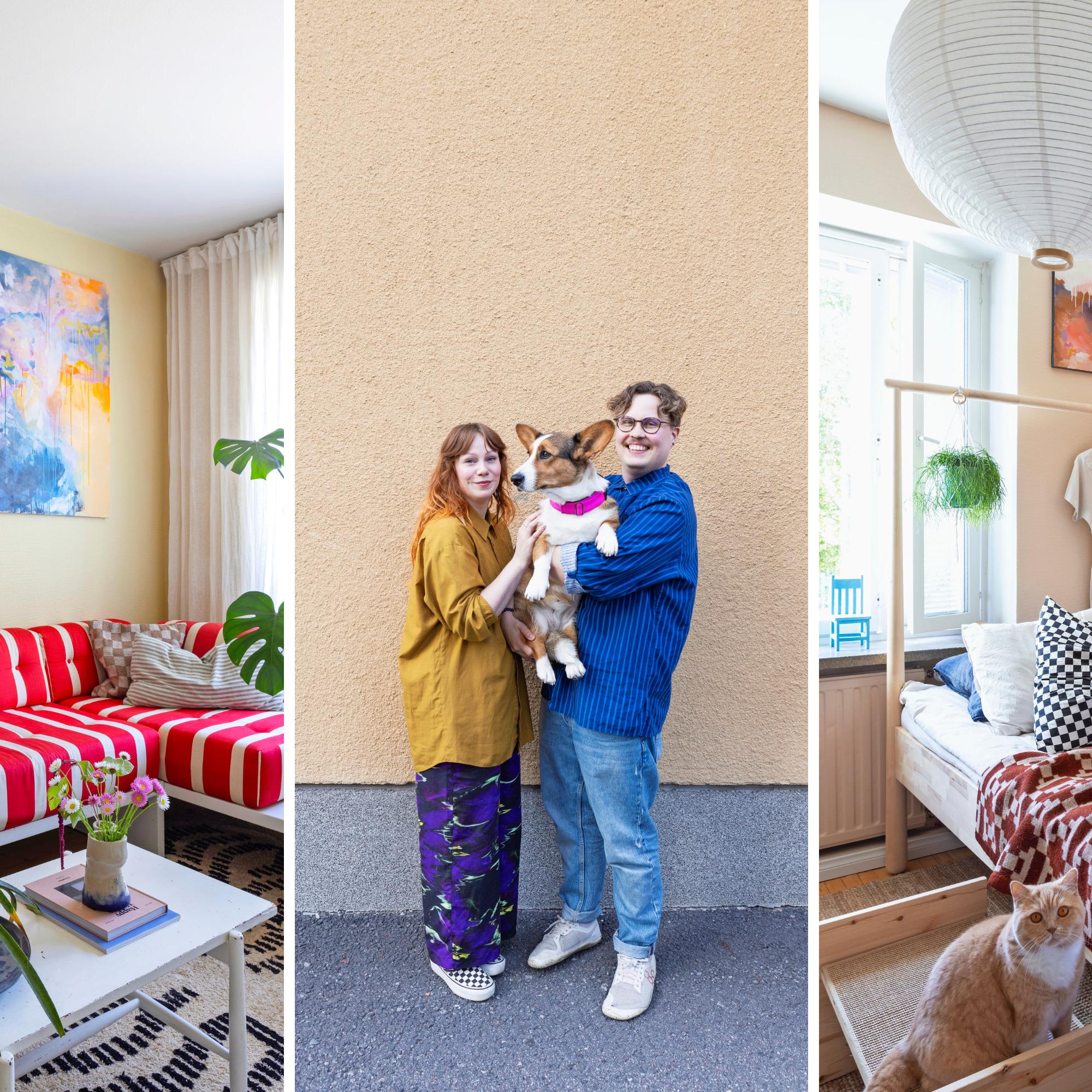 Portaat sänkyyn koiralle, kiipeilyhylly kissalle – sisustusarkkitehdin kotona lemmikeillä on omat huonekalut
