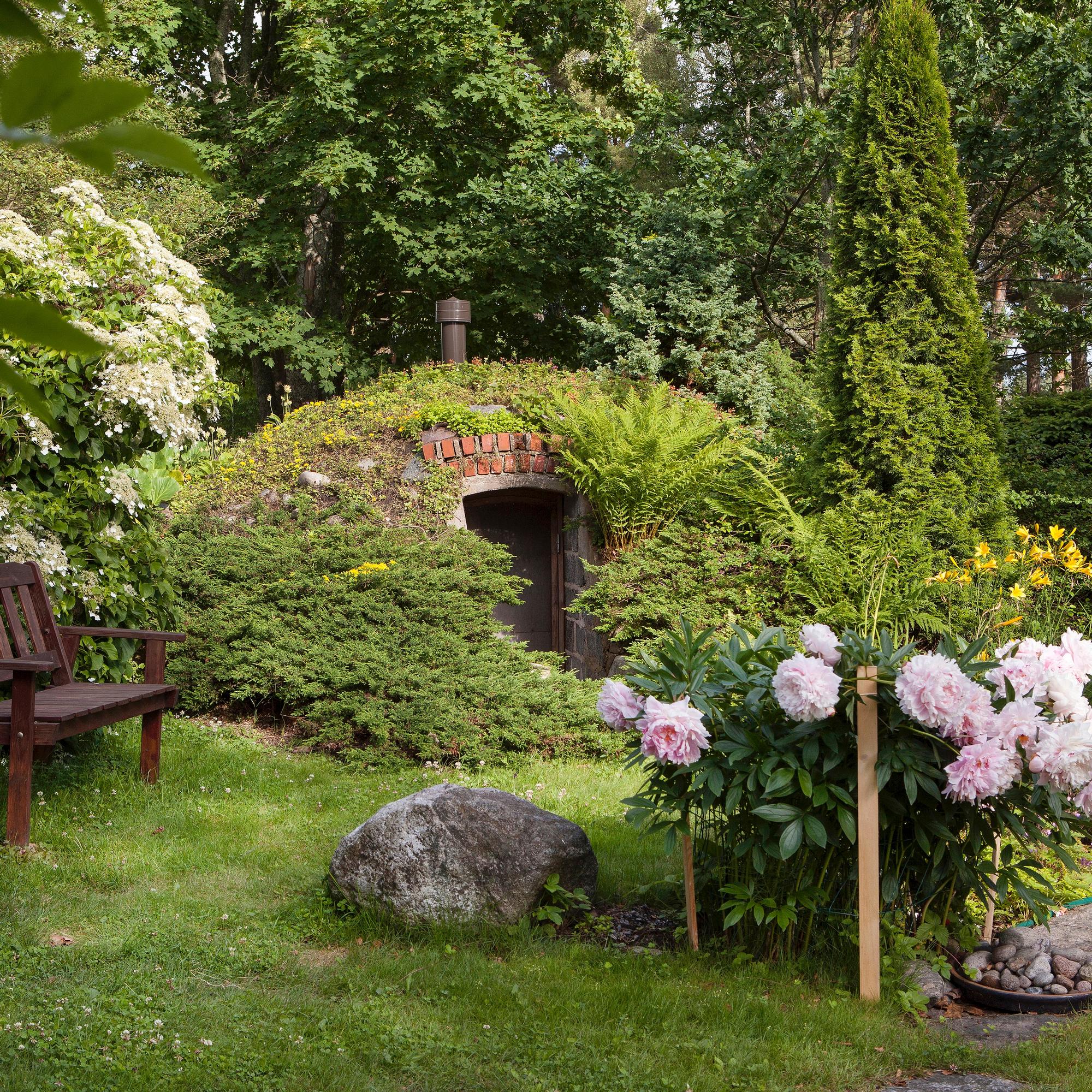 Maakellari omalle pihalle – nappaa kattavat vinkit rakentamiseen, hoitoon ja elintarvikkeiden säilytykseen