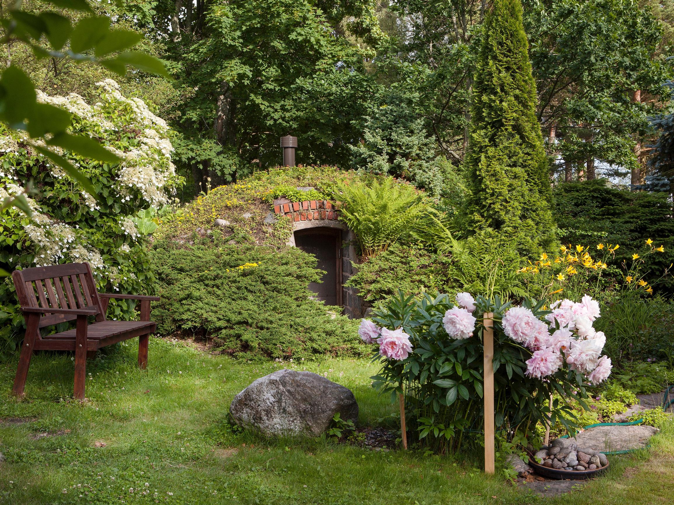 Maakellari omalle pihalle – nappaa kattavat vinkit rakentamiseen, hoitoon ja elintarvikkeiden säilytykseen