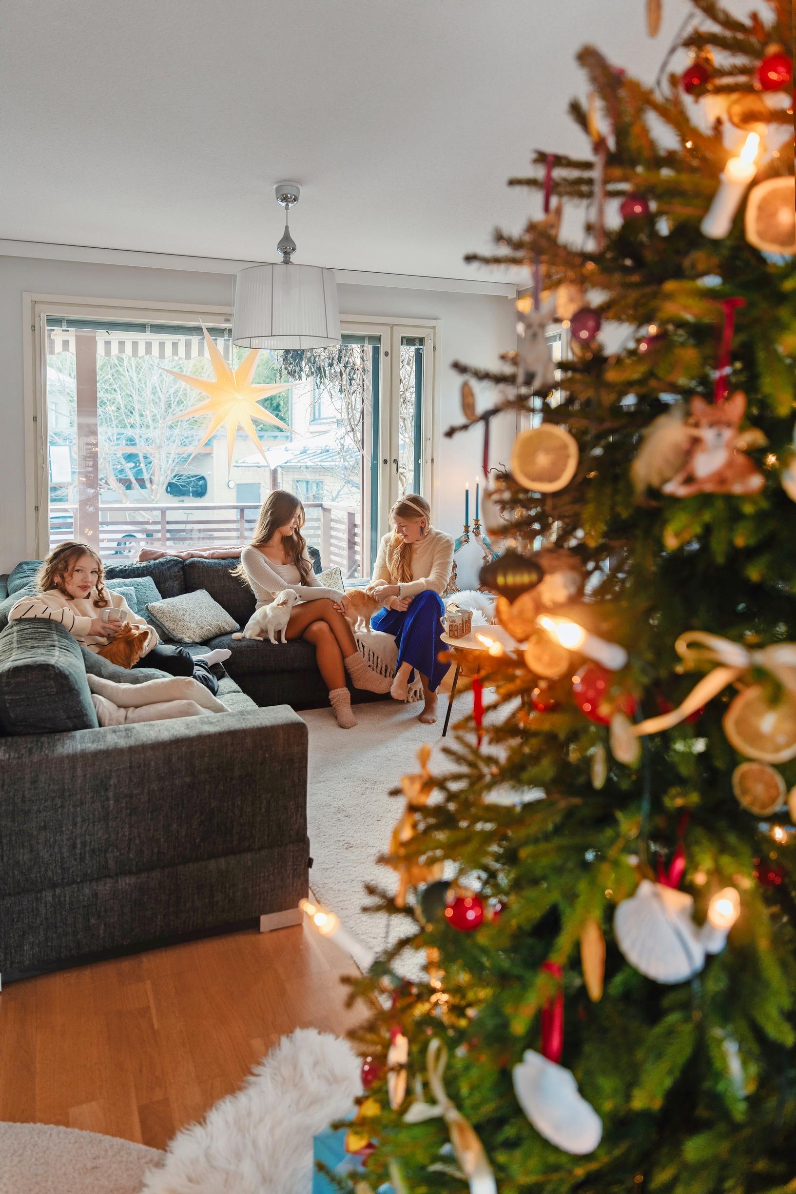 Huttusten olohuone, ikkunassa tähti, kuvn etualalla joulukuusi, Riikka ja lapset sohvalla.