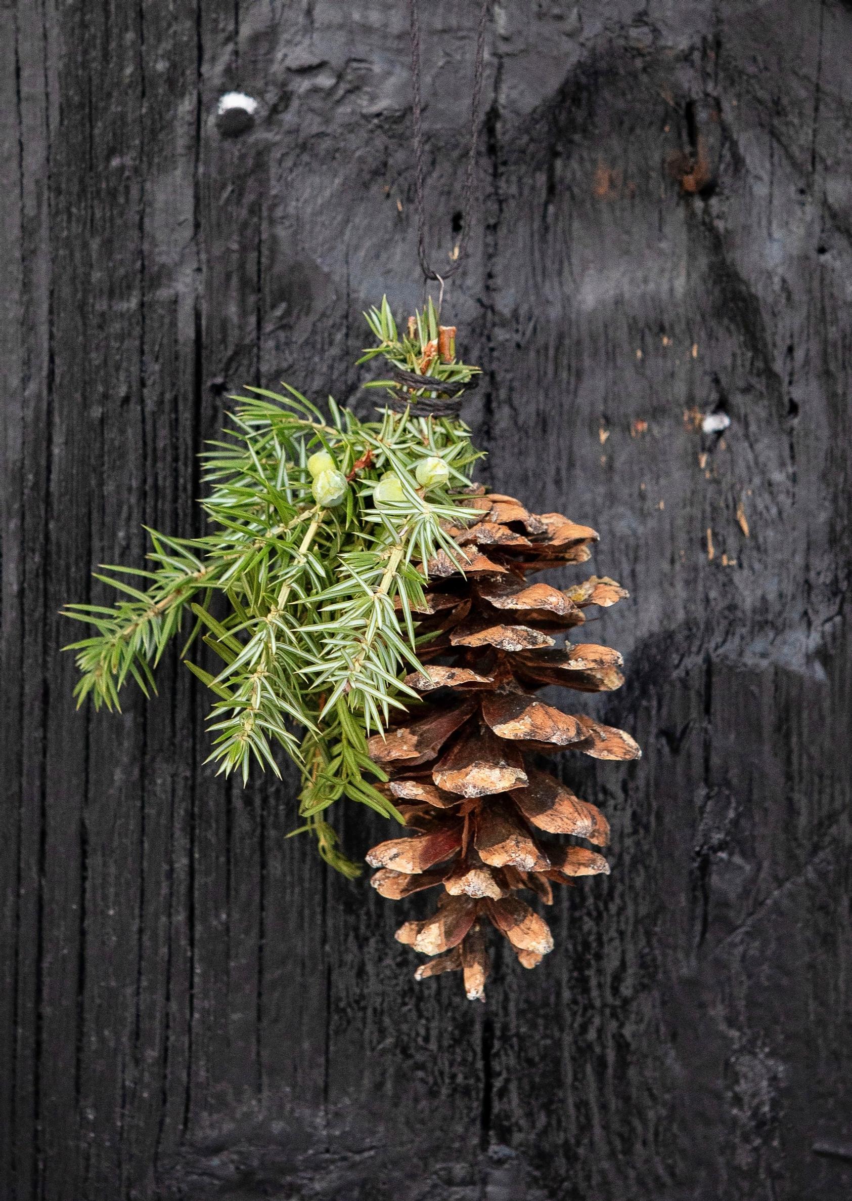 Käpykoriste roikkumassa