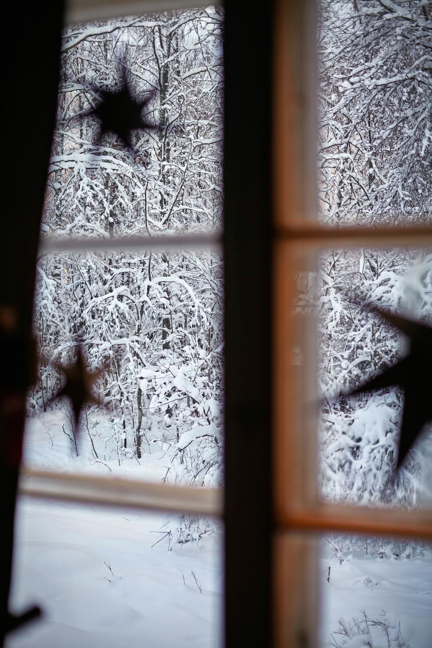 joulutähtiä ruutuikkunassa, ulkona lumista metsää