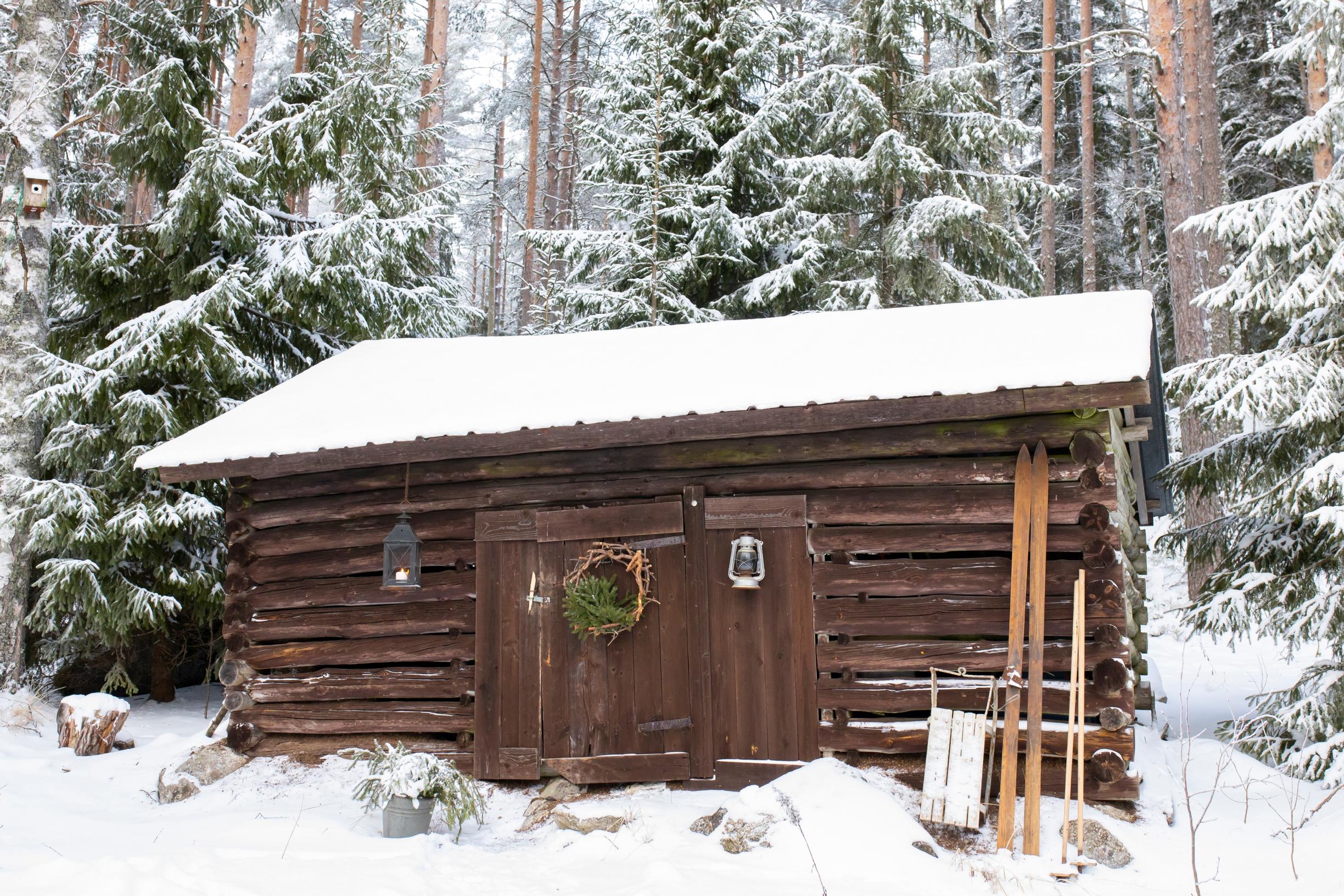 Vanha puuvaja pihapiirissä