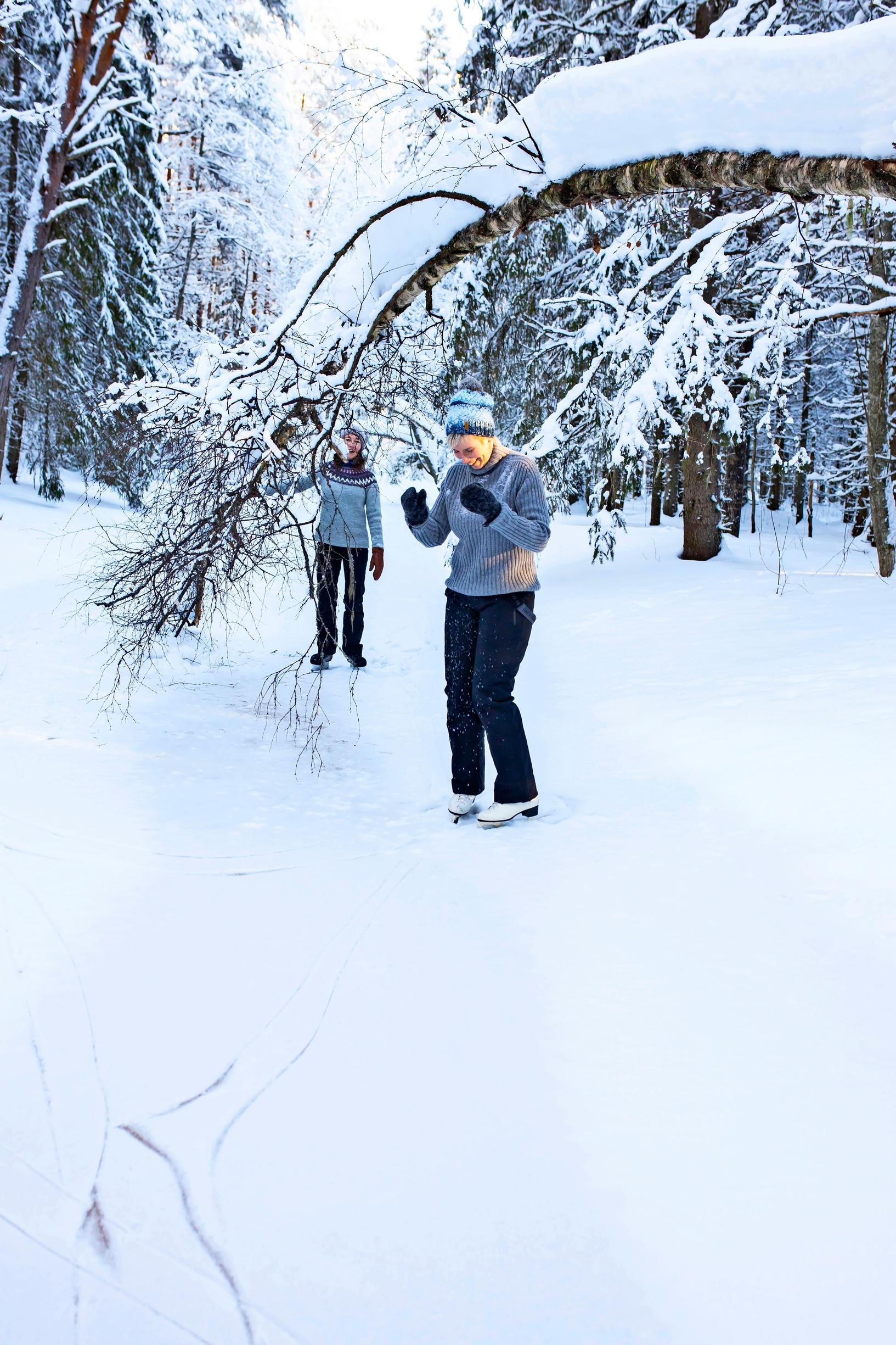 Ystävät luistelevat