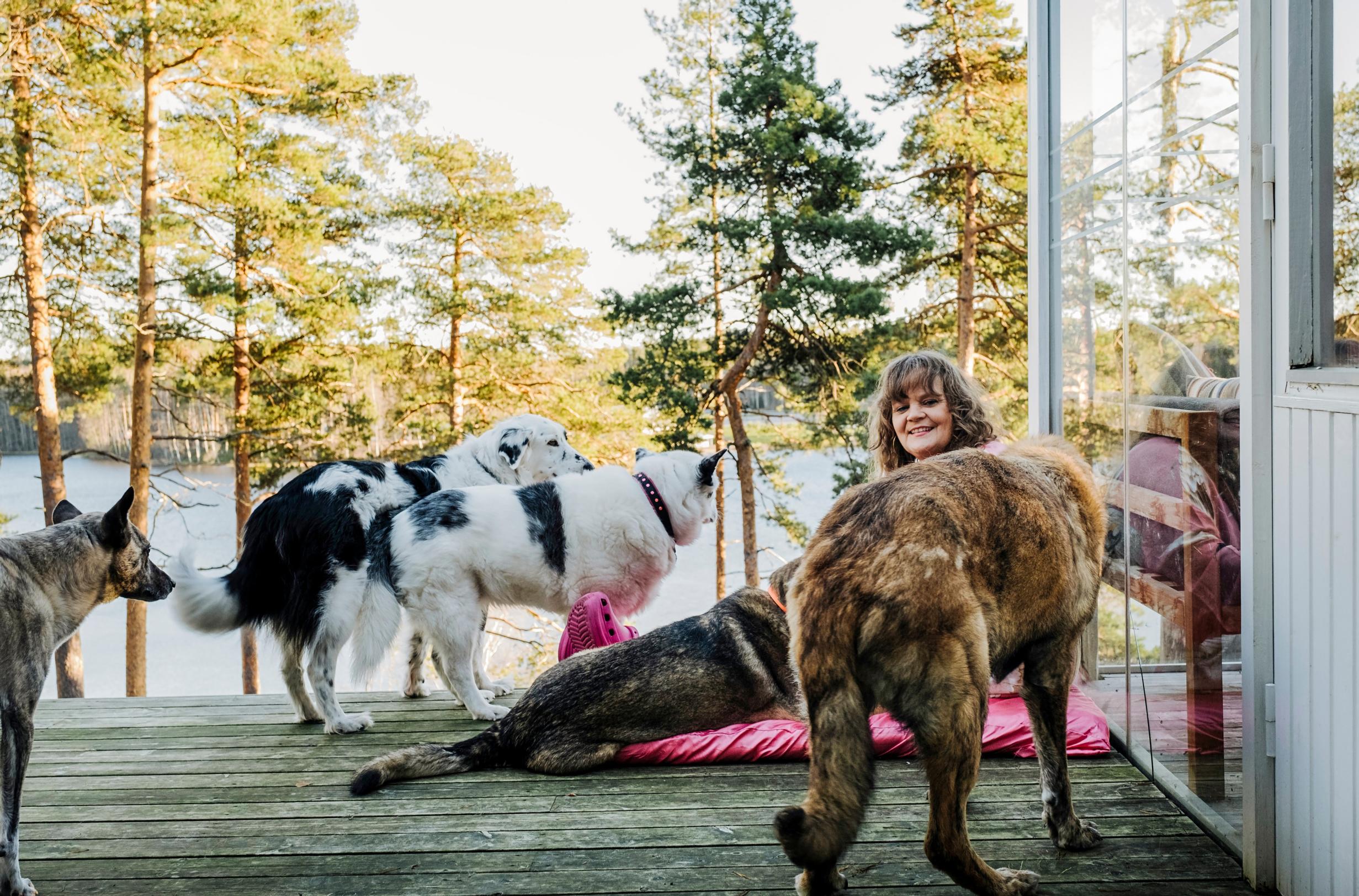 Heli ja koirat kodin terassilla