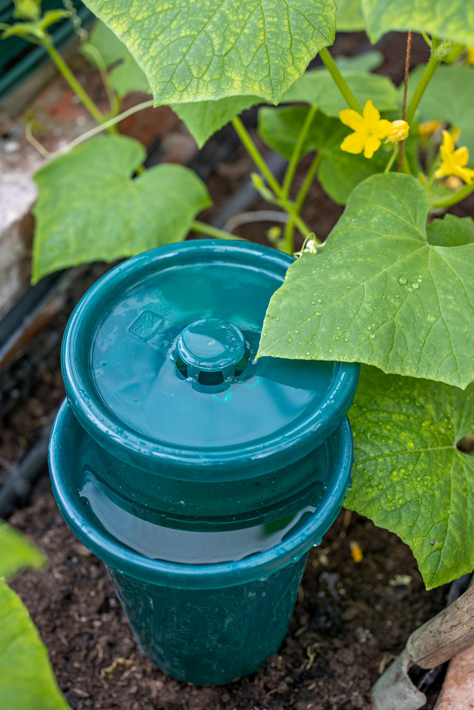 Biogreen Hydro cup -kastelija