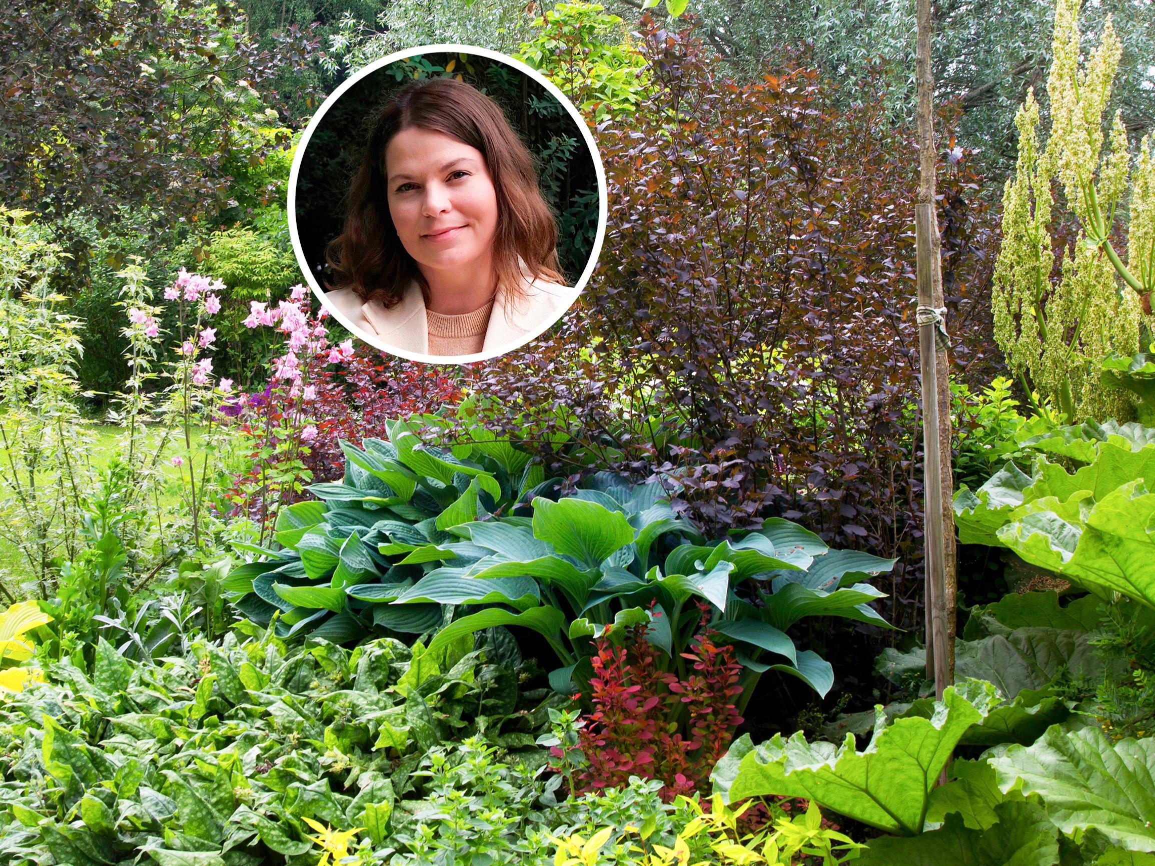 Helppohoitoinen piha on ihan jotain muuta kuin yleisesti kuvitellaan, sanoo maisemasuunnittelija