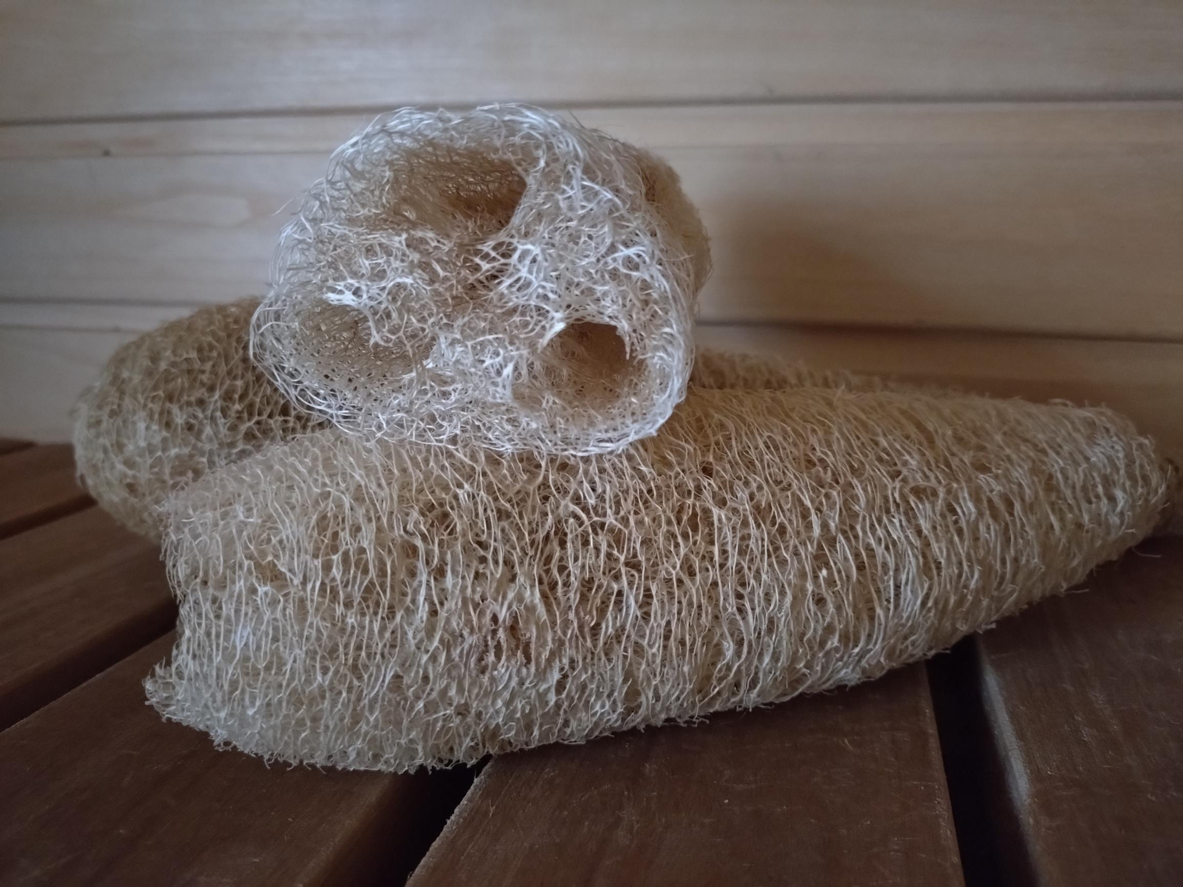 Pesusienikurkku eli luffa