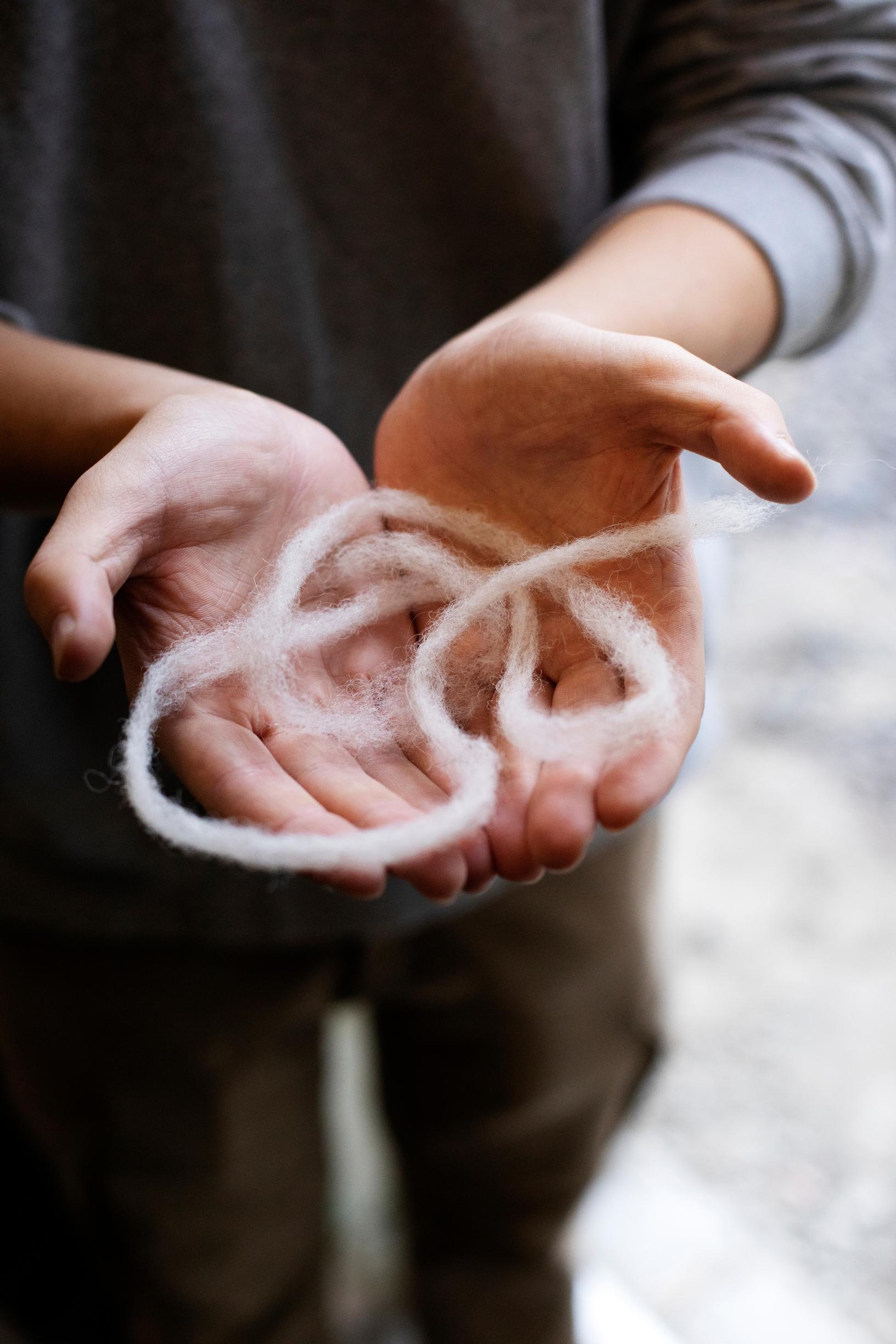 Lampaanvillaa kämmenillä