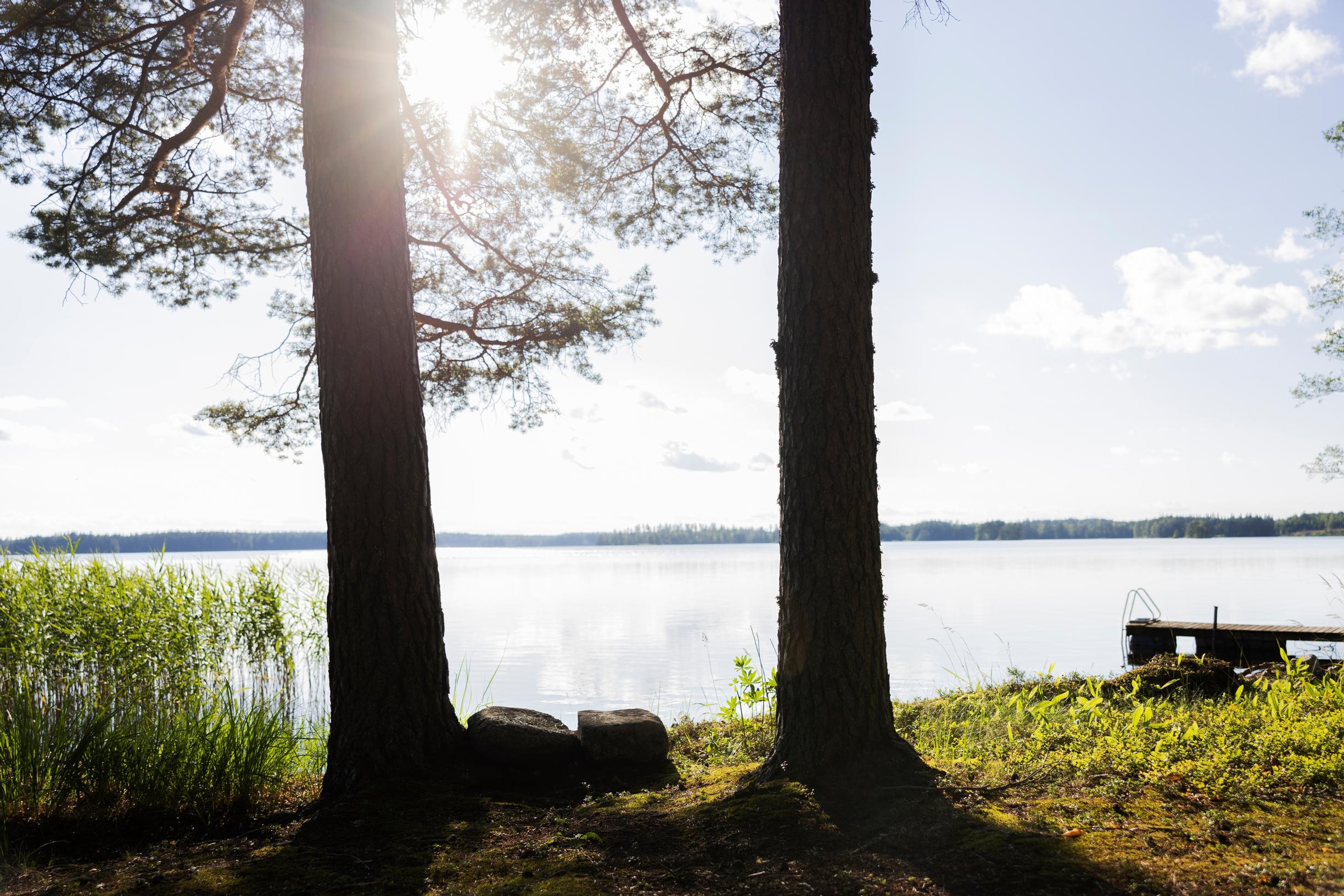 kaksi puuta ja kaksi isoa kiveä, laituri, kaislikkoa ja järvinäkymä