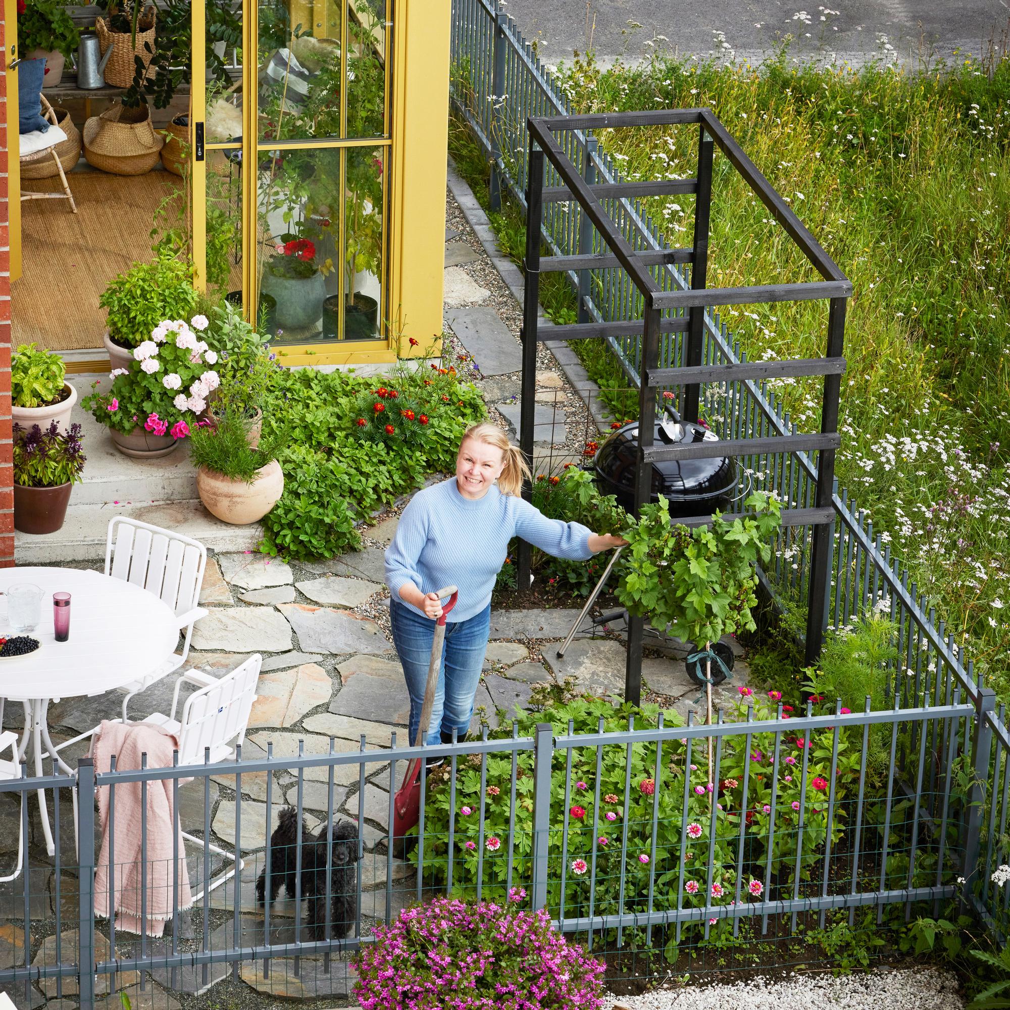 Hannelen minipuutarhassa on vain 37 neliötä, ja kaikki kasvit käyvät lautaselle – ”Syötävyys ei tarkoita, että tämä olisi kasvimaa”