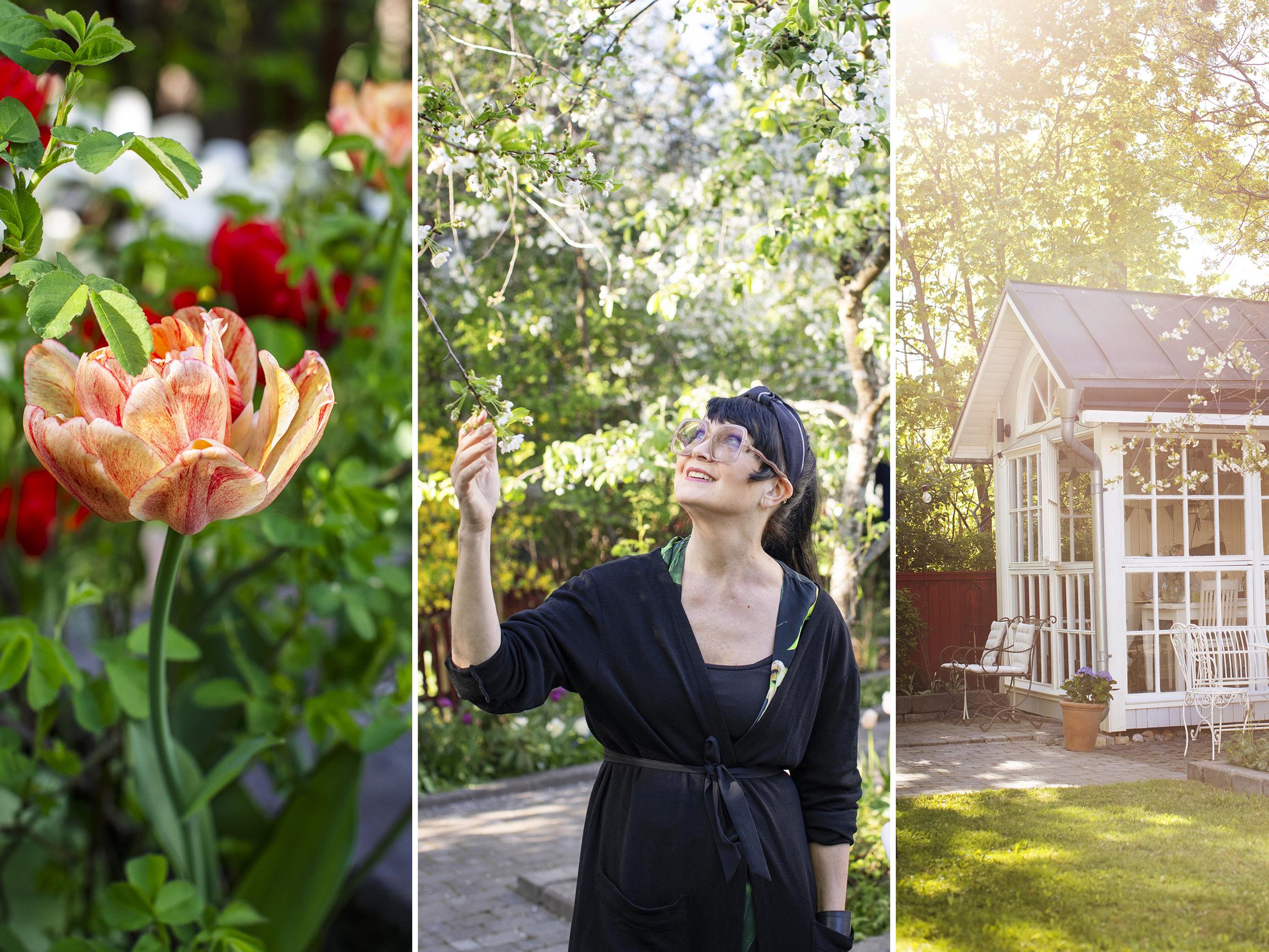 ”Puutarha on osa hyvän elämän konseptia”,  sanoo kirjailija ja sisustusarkkitehti Maaretta Tukiainen, joka harrastaa puolisonsa kanssa tulppaaneja