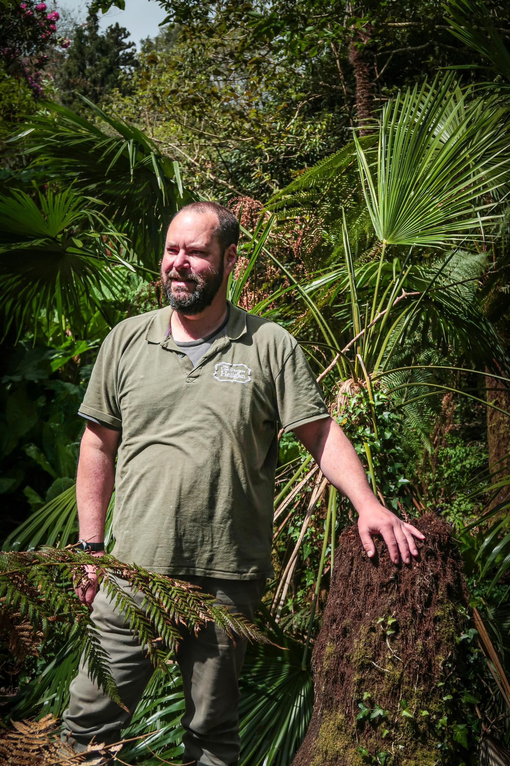 viidakkopuutarha Englannissa: puutarhuri Tony Trigham