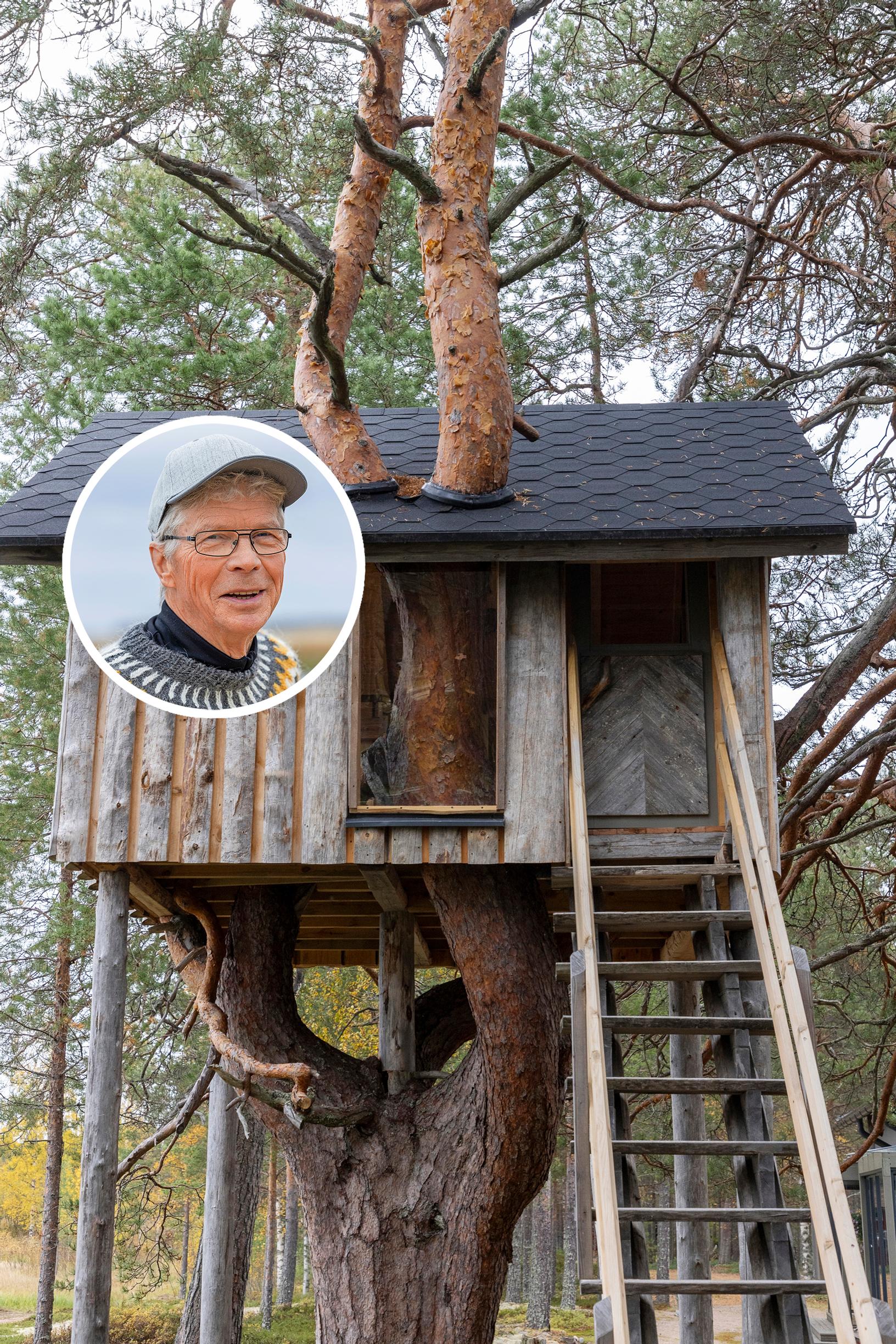 Aikamoinen taidonnäyte! Aimo rakensi majan, jonka läpi kulkee puu: ”Tämä mäntyhän suorastaan huusi puumajaa oksilleen”