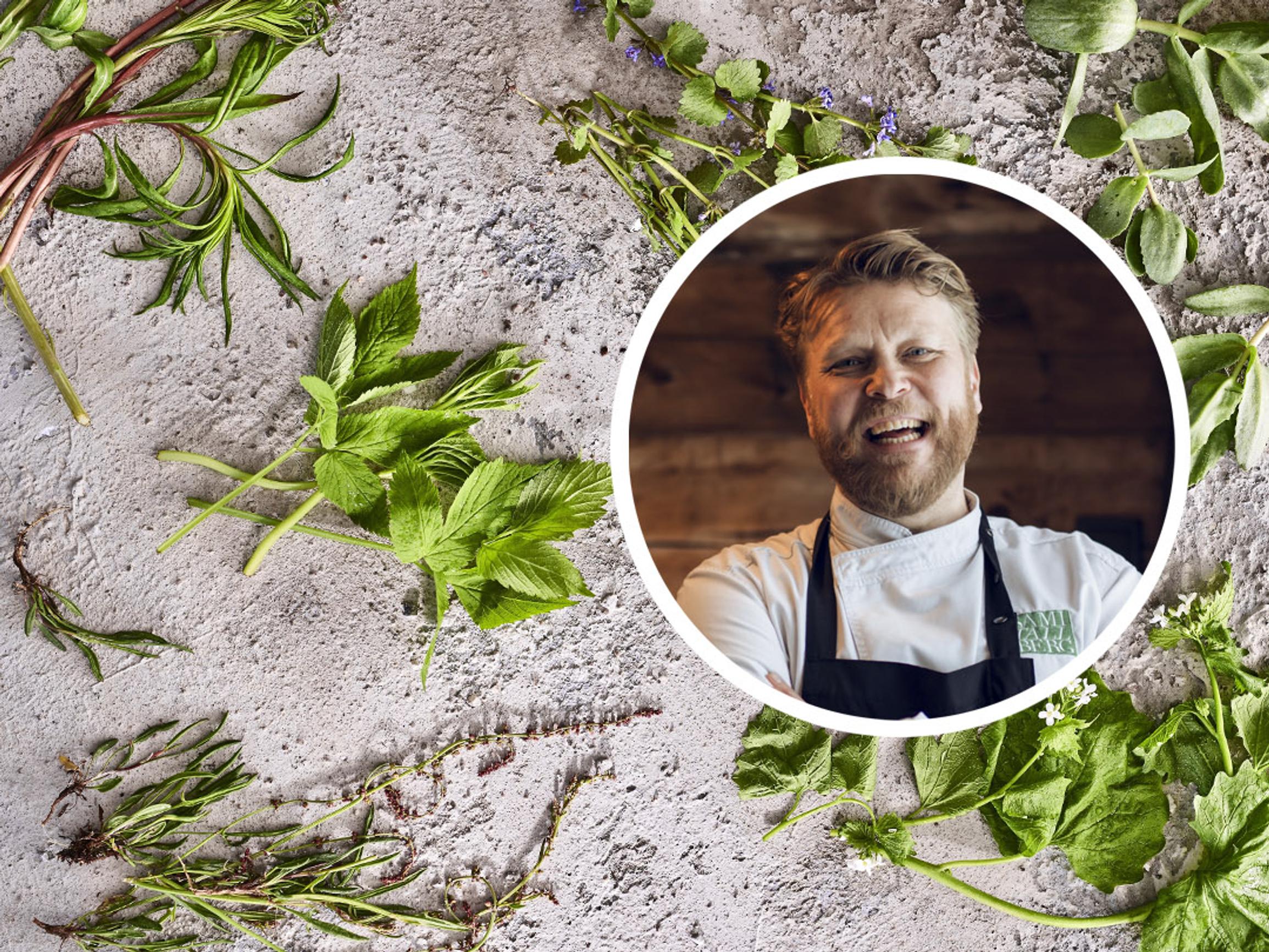 Villiyrttiguru: ”Ravinteikas nokkonen tulisi nimetä kansallisvilliyrtiksemme”