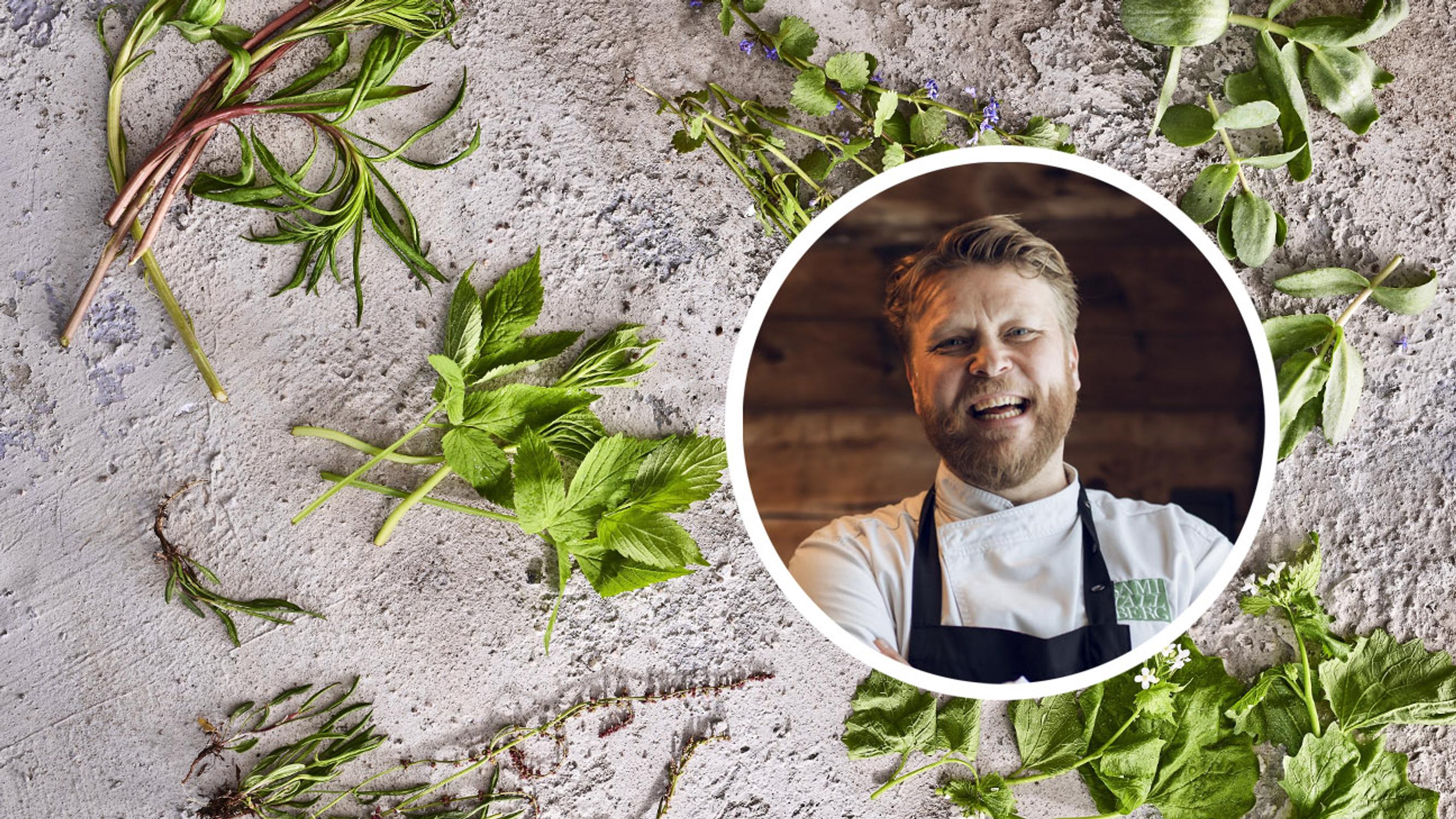 Villiyrttiguru: ”Ravinteikas nokkonen tulisi nimetä kansallisvilliyrtiksemme”