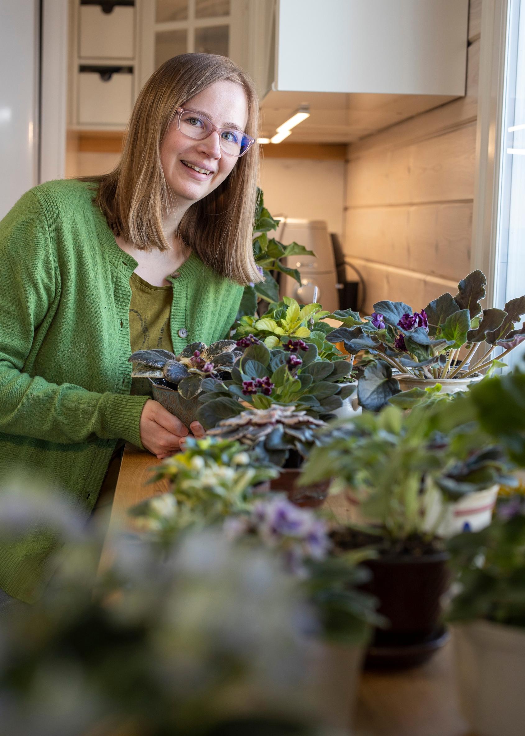 Elisa Itkonen kasvattaa saintpaulioita itään suuntautuvilla ikkunoilla.