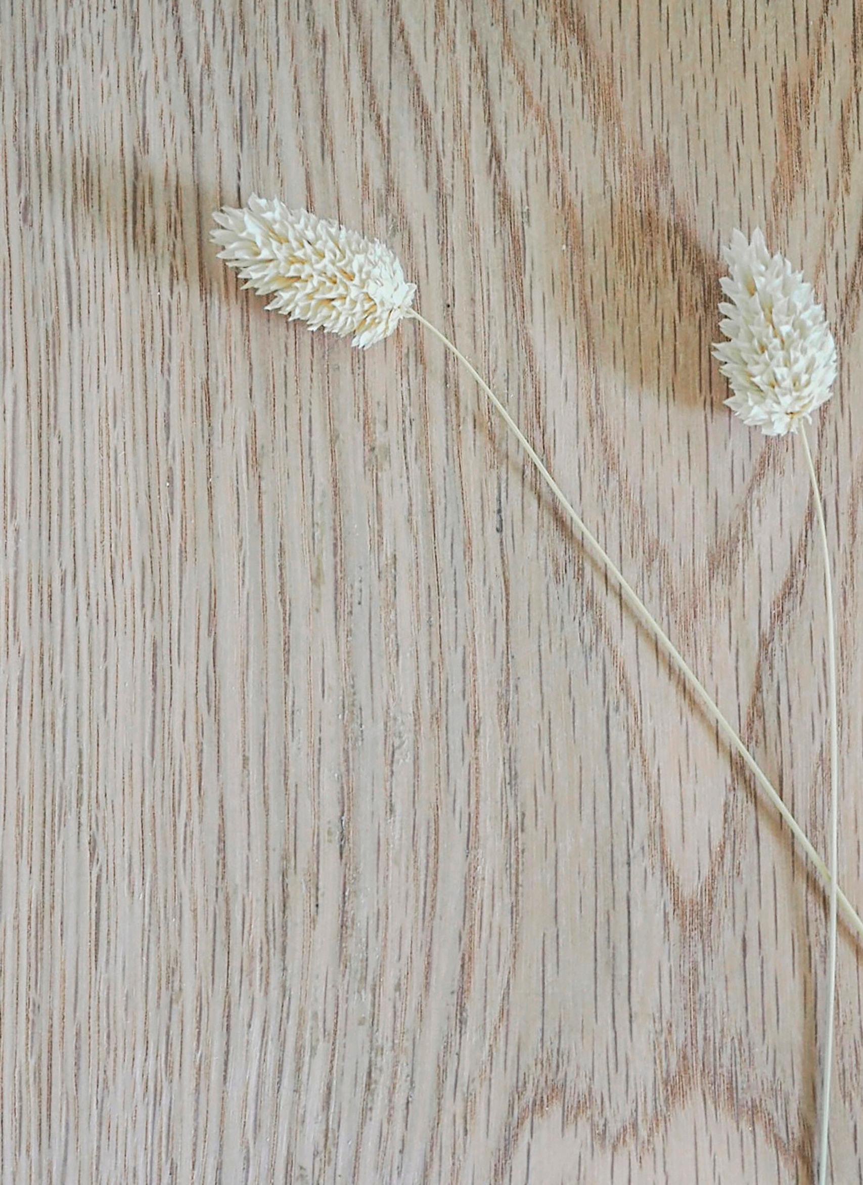 Massiivipuulevyä hyllykön tekemiseen