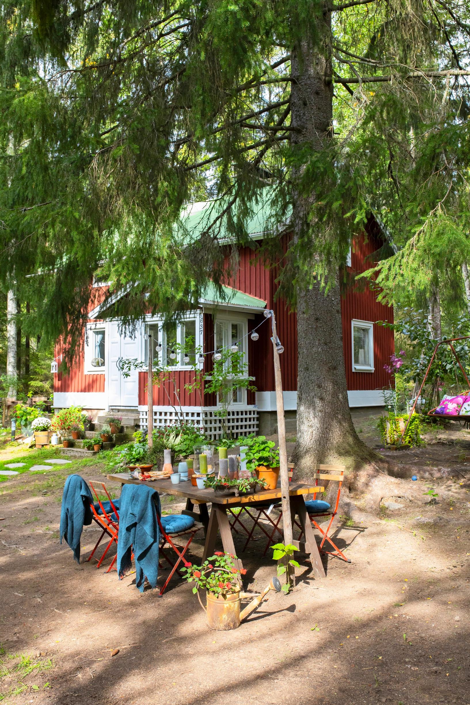 Pöytäryhmä ison kuusen alla mummonmökin pihapiirissä