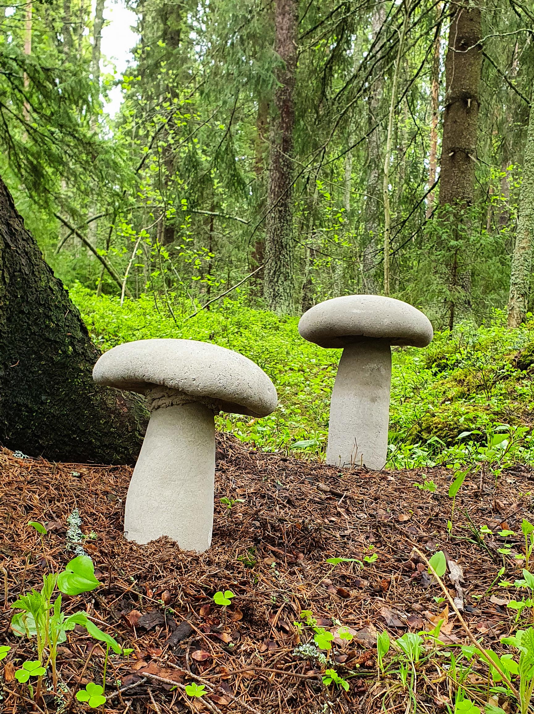 Betonisienet metsässä