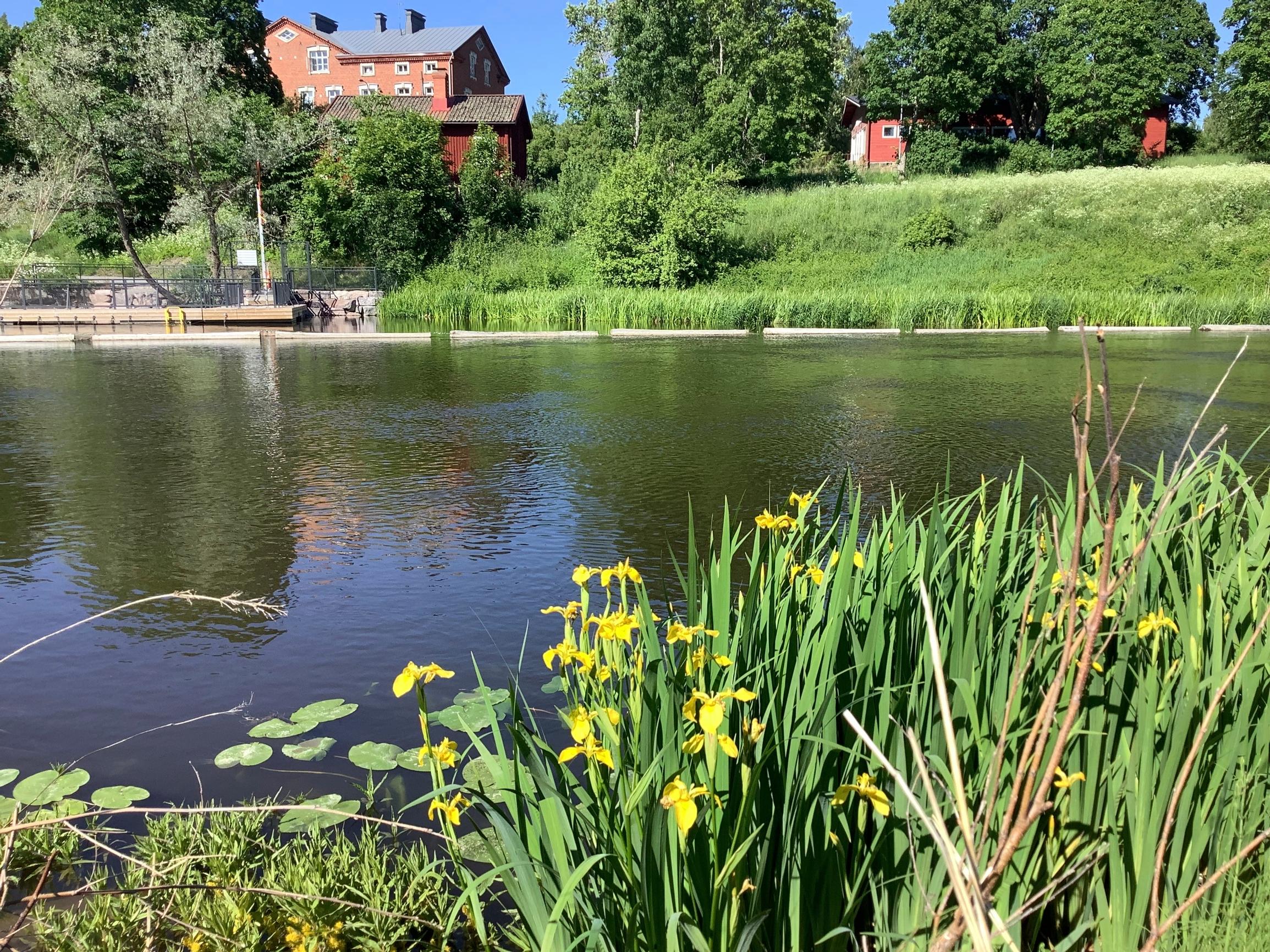 Billnäsin ruukkikylä ja joenranta