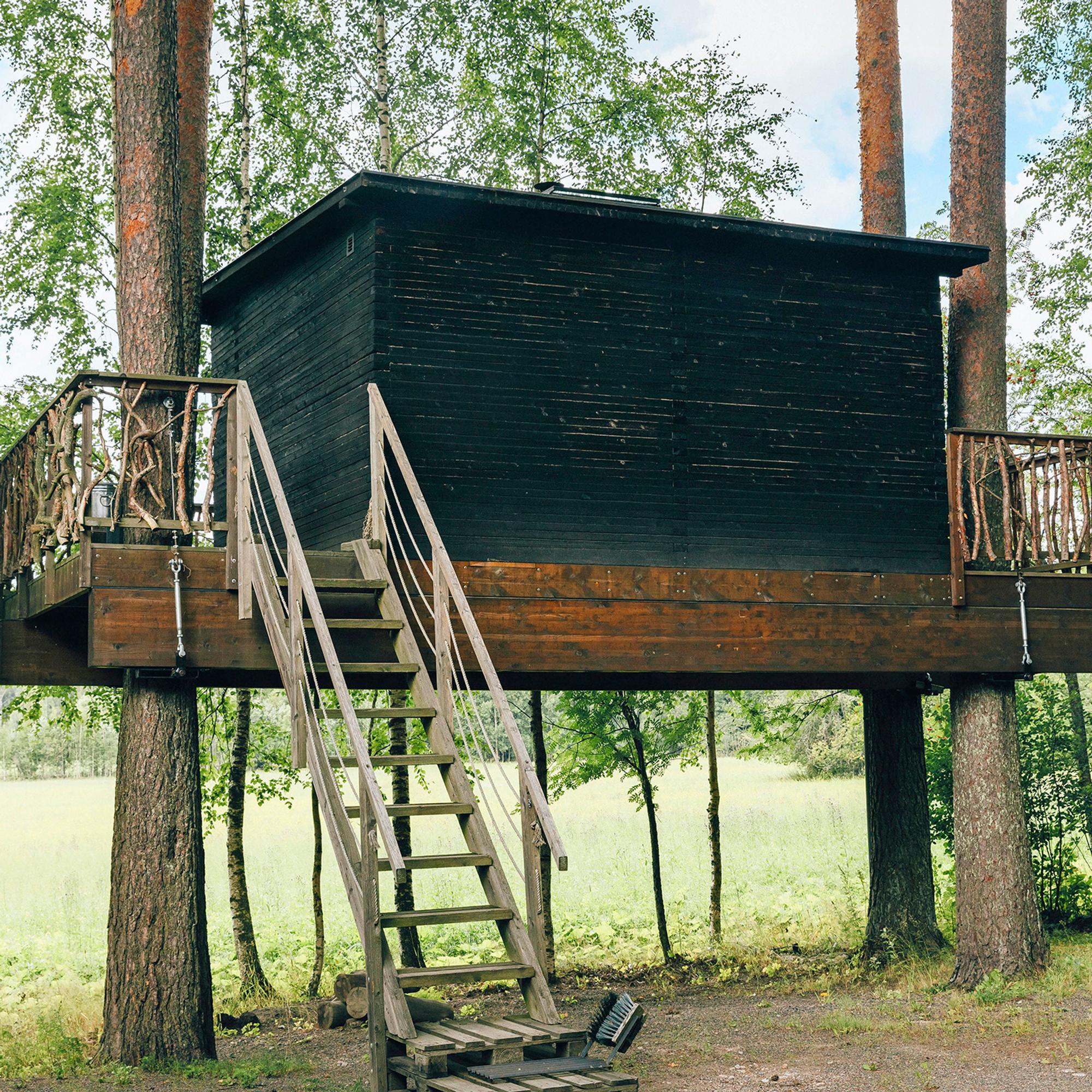 Sauna kiipesi puihin! Otto rakensi puumajasaunan ja huiman vilvoittelupaikan – ”Sauna on vähän kuin omassa maailmassaan”