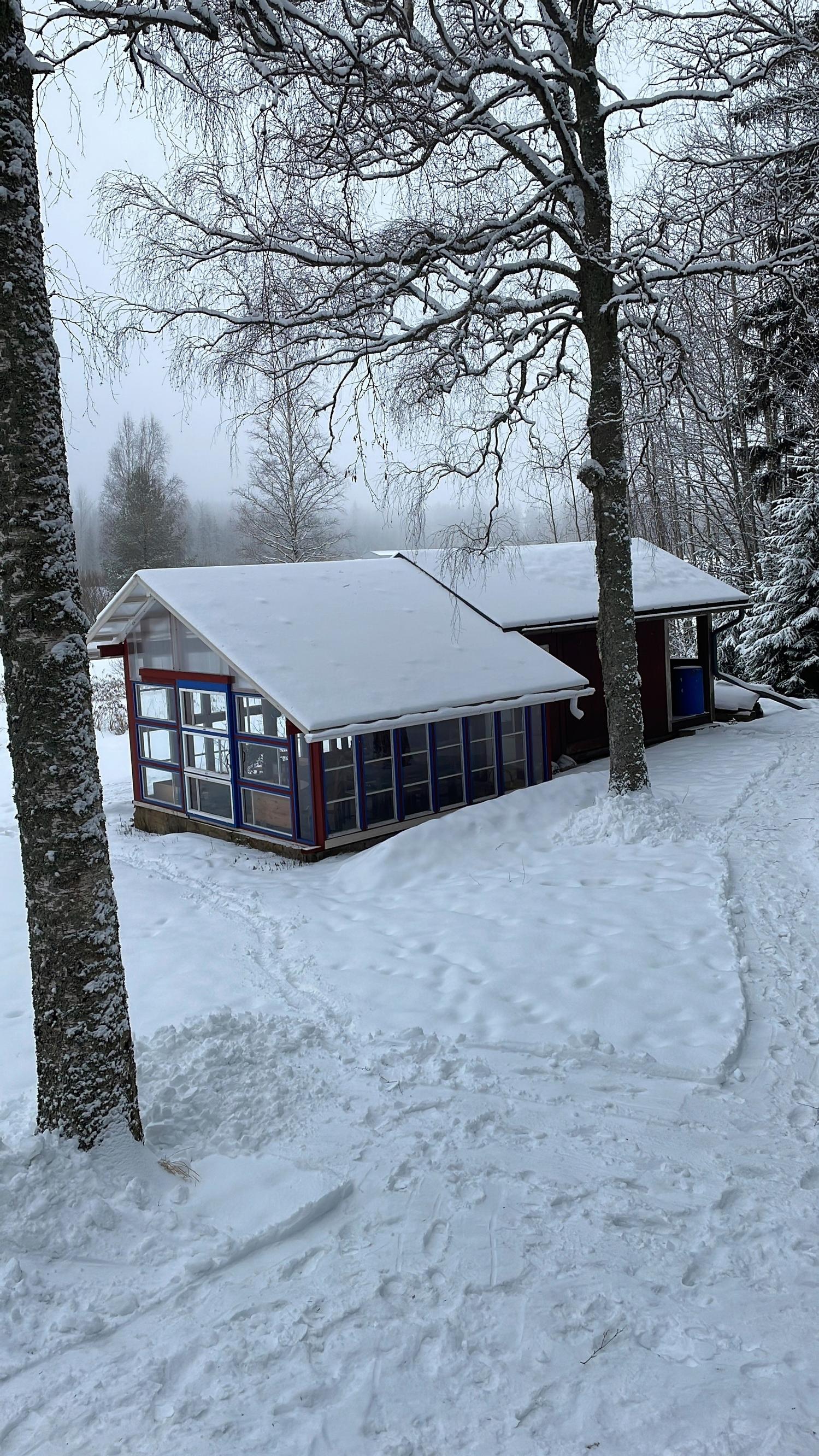 talvinen kuva pergolasta, lunta katolla ja metsässä