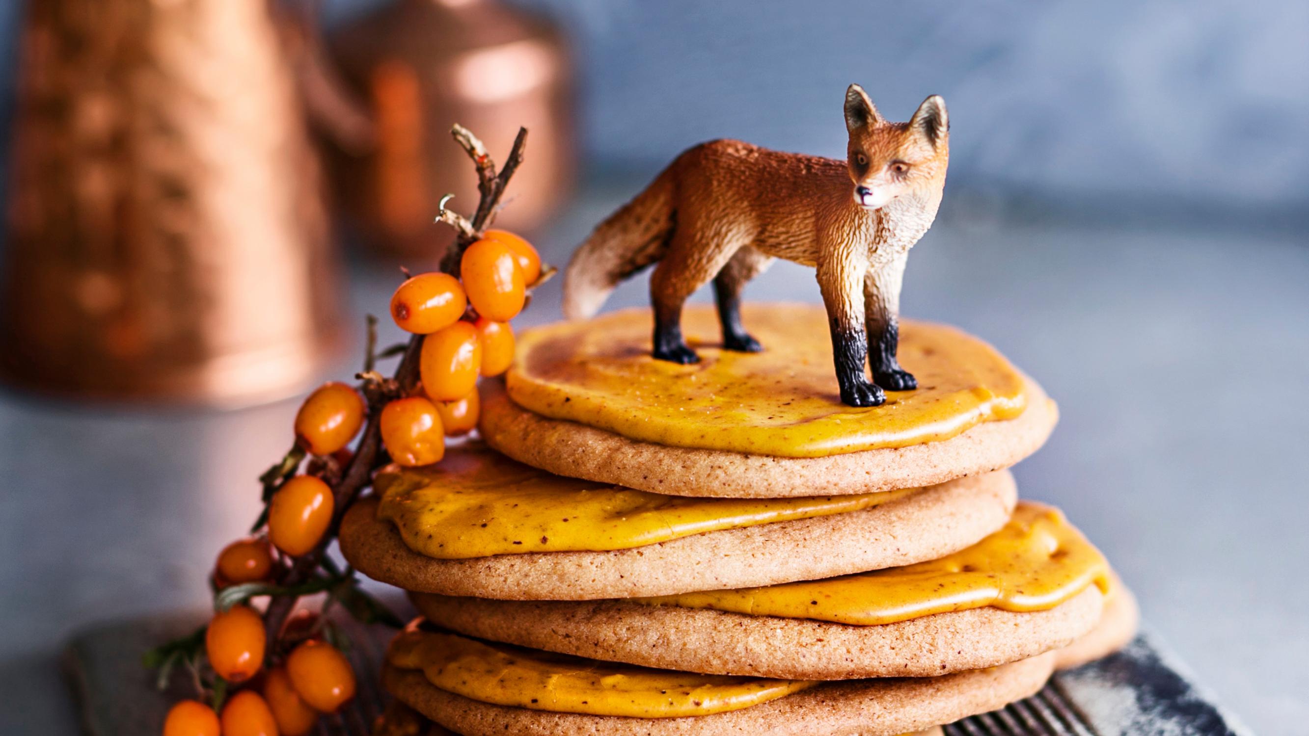 Veikeitä, sanoi kettu tyrnipumpernikkeleistä! Pehmeät pikkuleivät kuorrutetaan oransseiksi