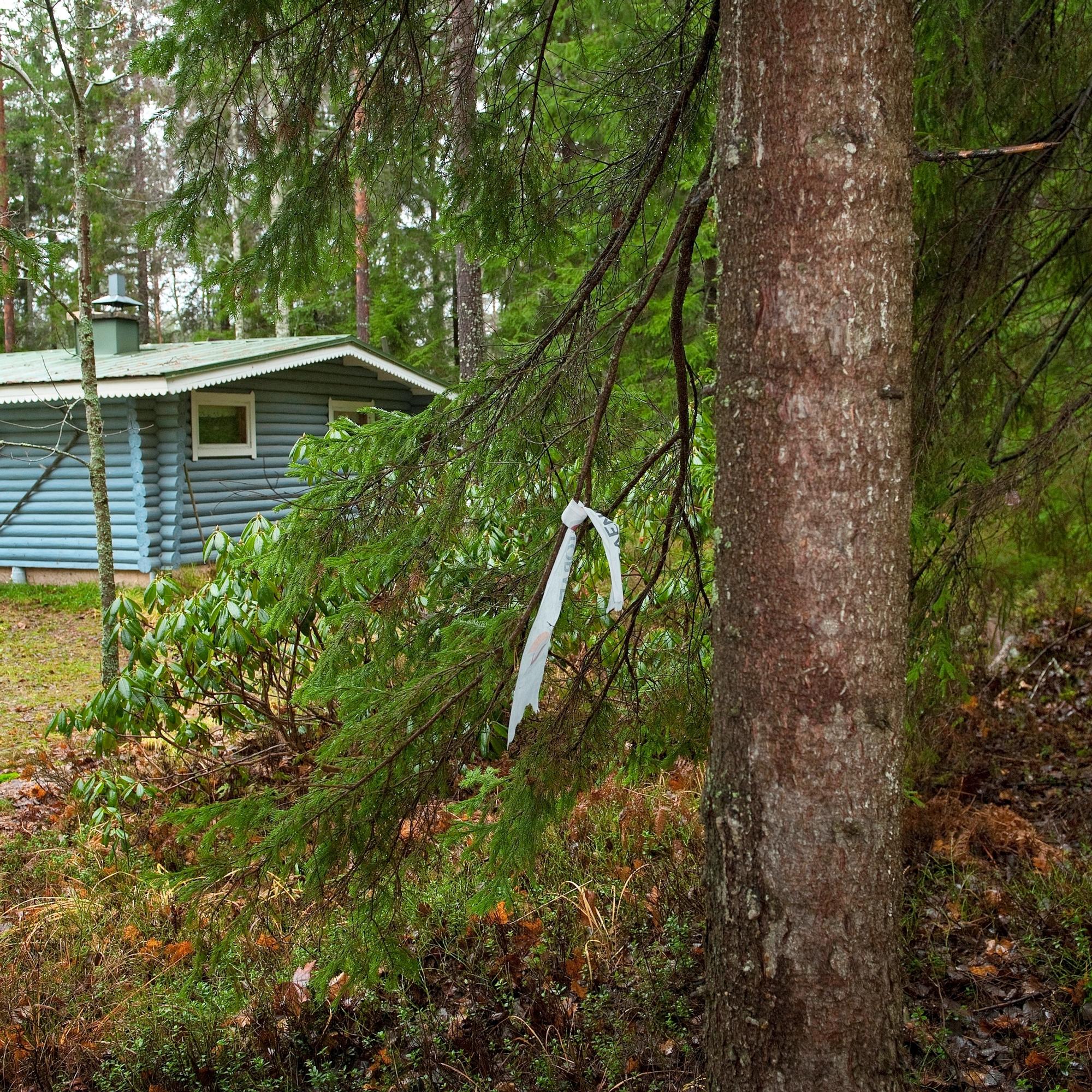 Pitääkö pihapuu kaataa? Arboristi antaa vinkit puiden tarkkailuun ja hoitoon