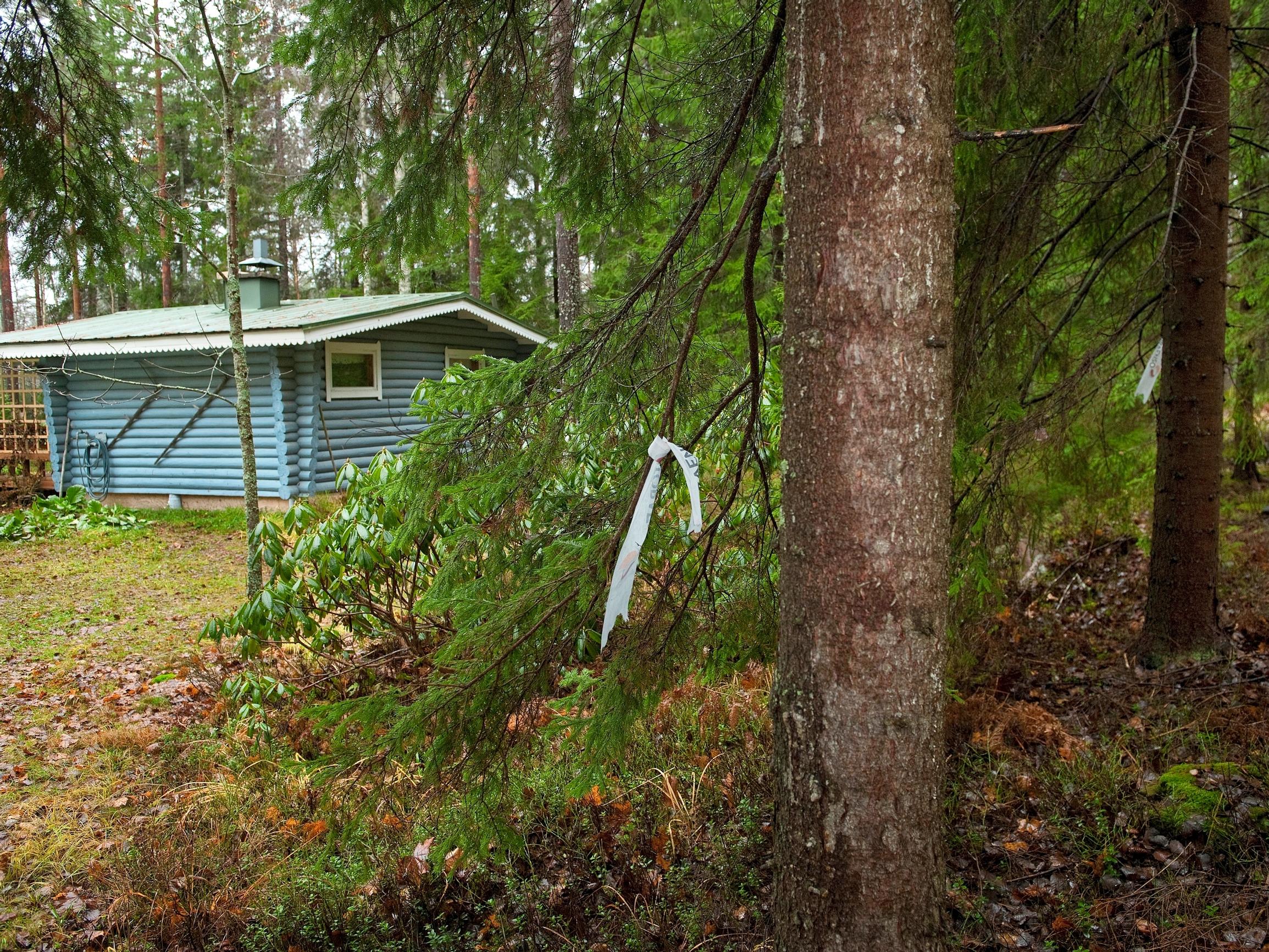 Pitääkö pihapuu kaataa? Arboristi antaa vinkit puiden tarkkailuun ja hoitoon