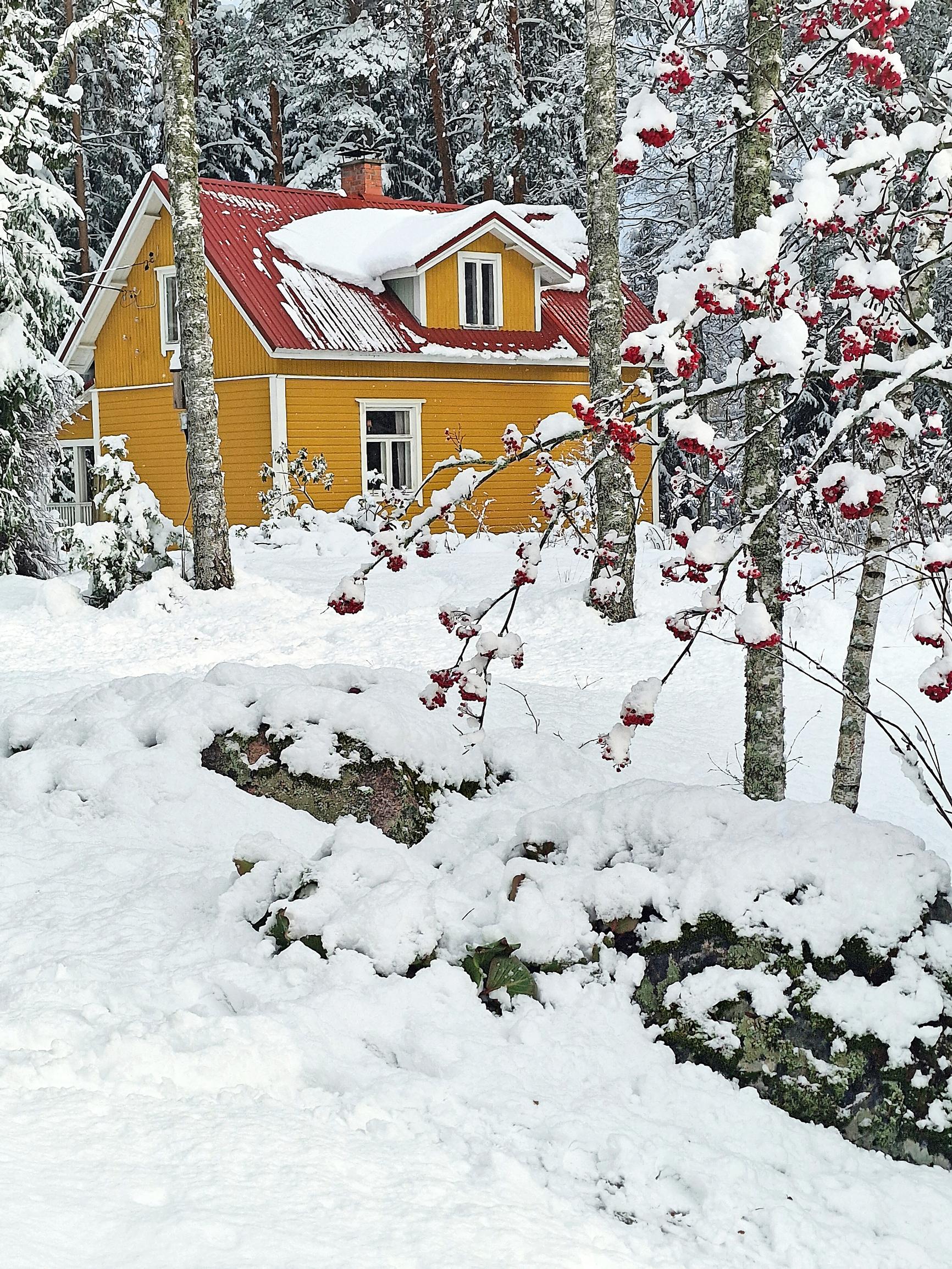 keltainen mummonmökki lumen keskellä