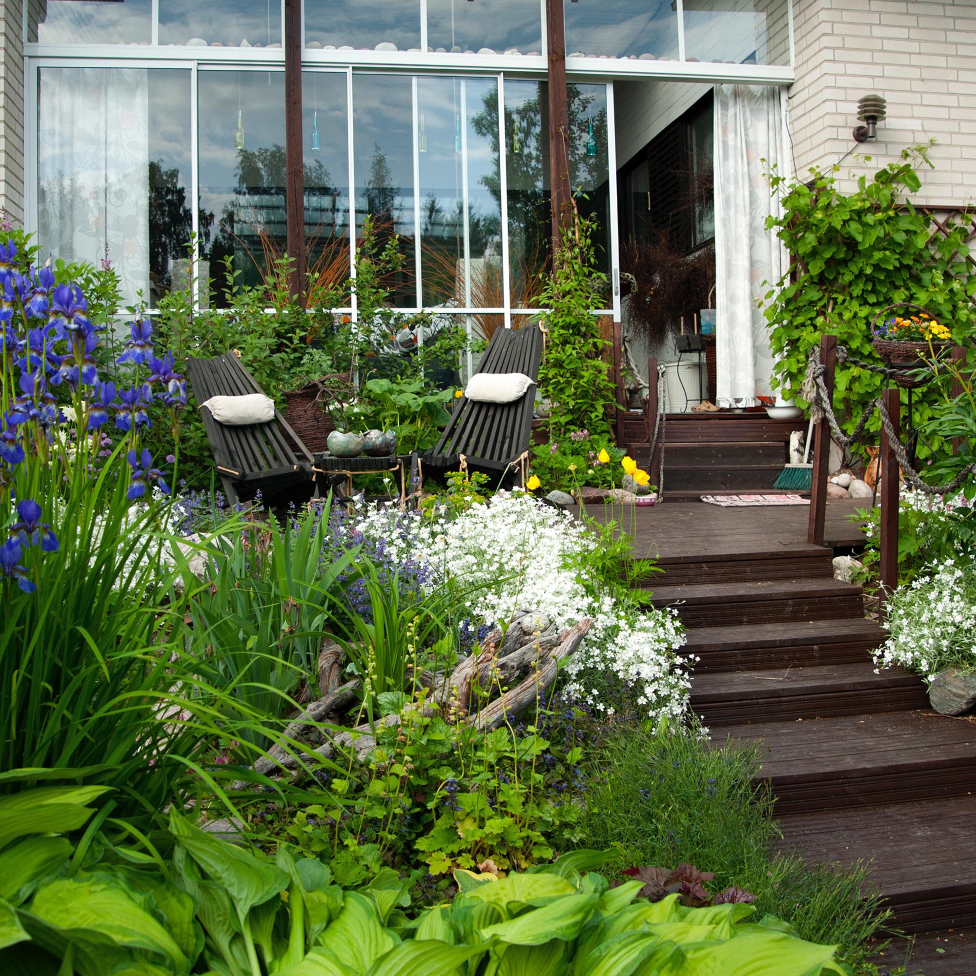 Villi ja vallaton pikkukaunotar! Ränsistyneestä rivitalopihasta kuoriutui oikea keidas