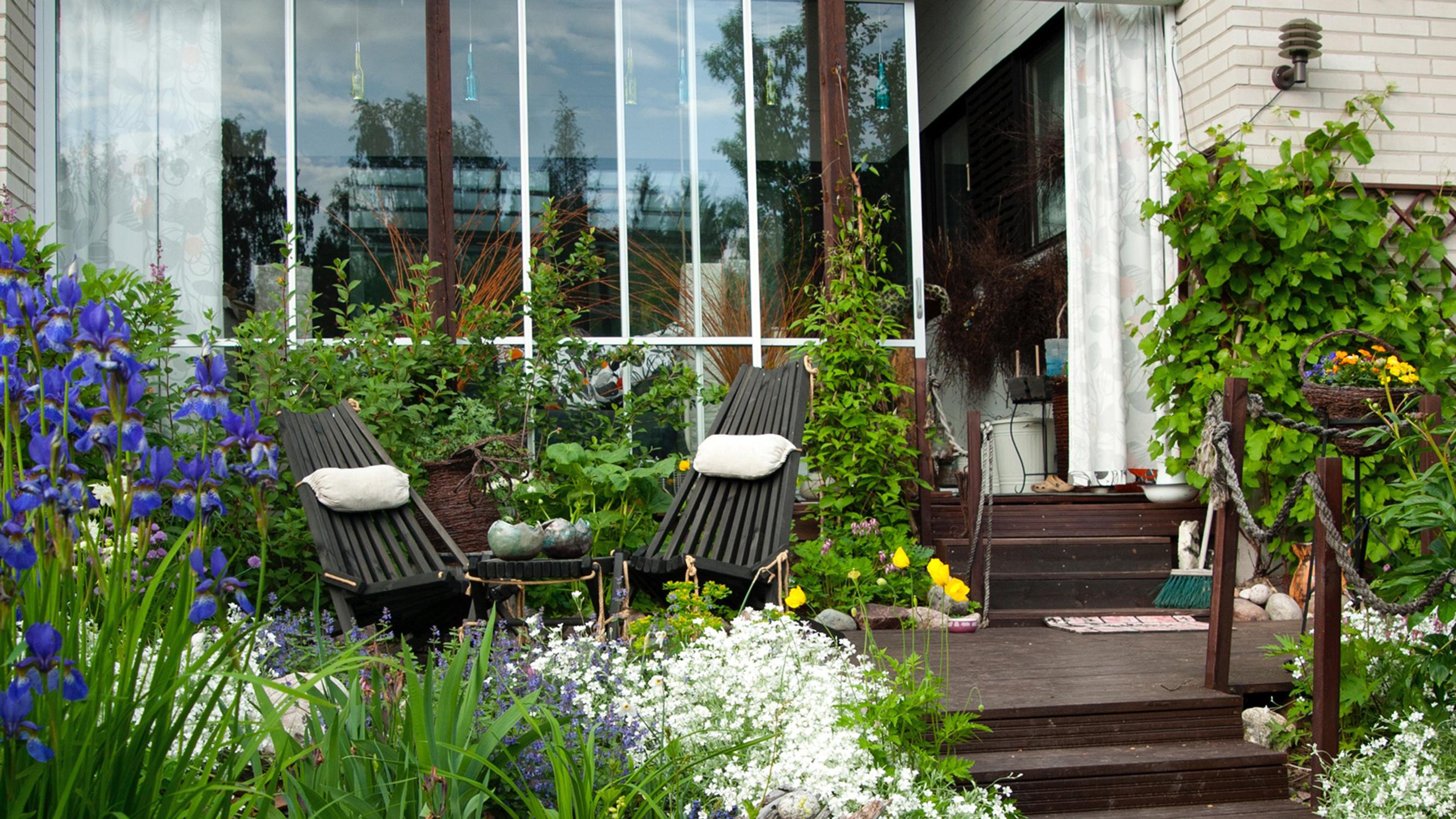 Villi ja vallaton pikkukaunotar! Ränsistyneestä rivitalopihasta kuoriutui oikea keidas