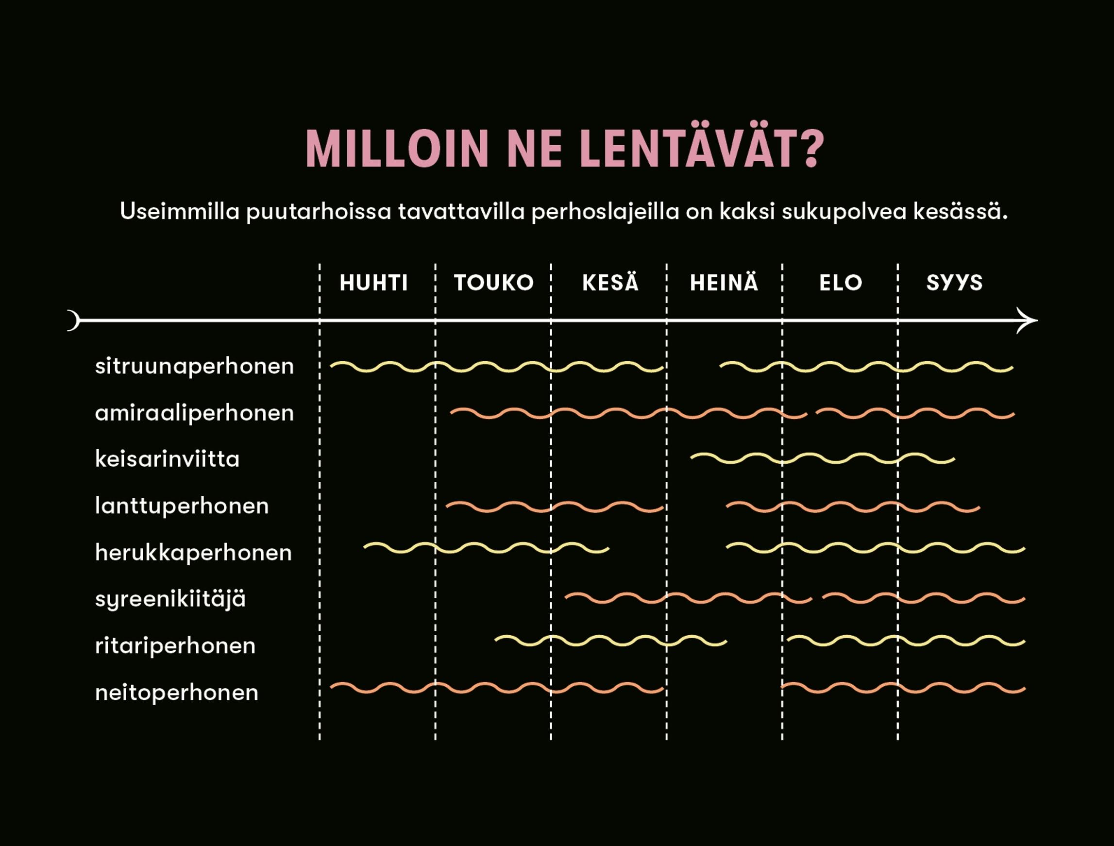 Taulukko: milloin perhoset lentävät puutarhoissa
