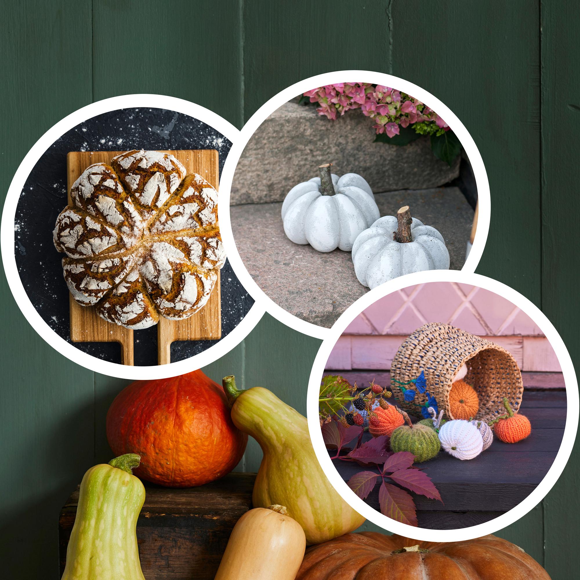 3 × erilainen halloween-kurpitsa: neulo, muotoile betonista tai leivo syysjuhlan hauskin koriste!