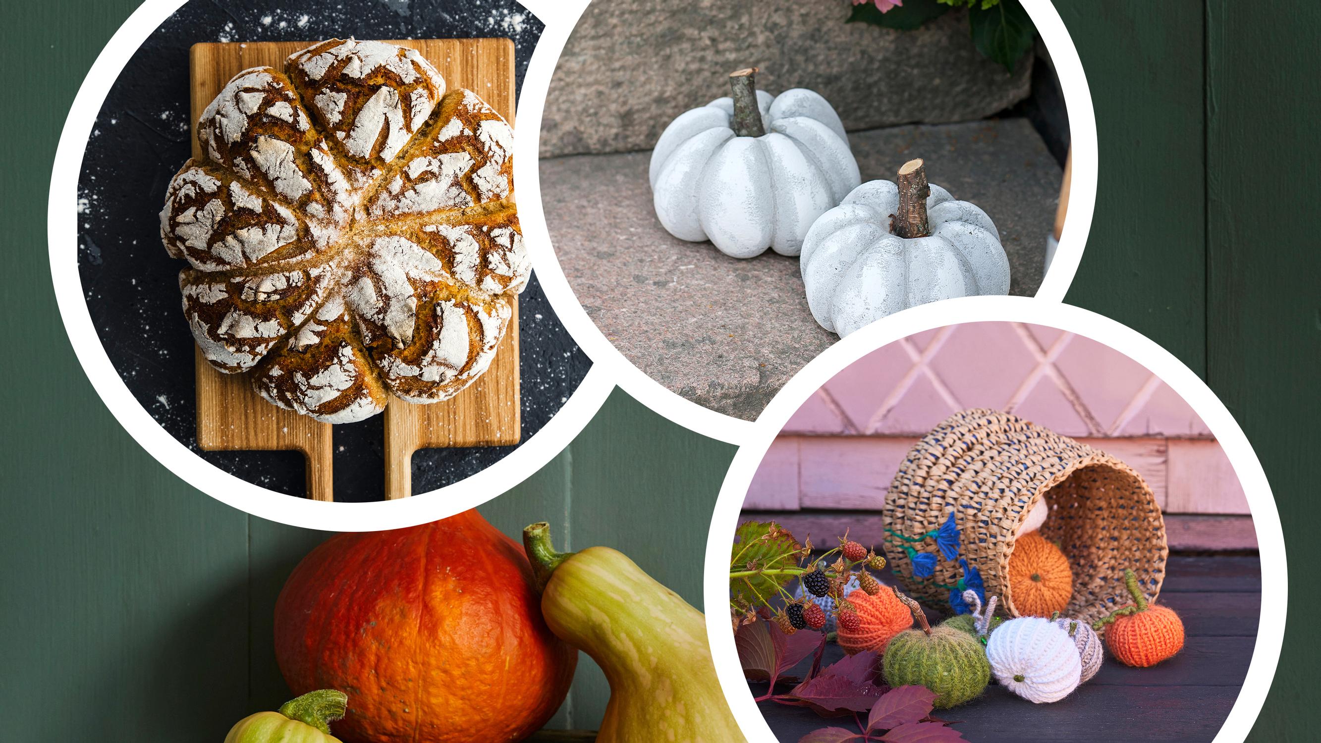 3 × erilainen halloween-kurpitsa: neulo, muotoile betonista tai leivo syysjuhlan hauskin koriste!