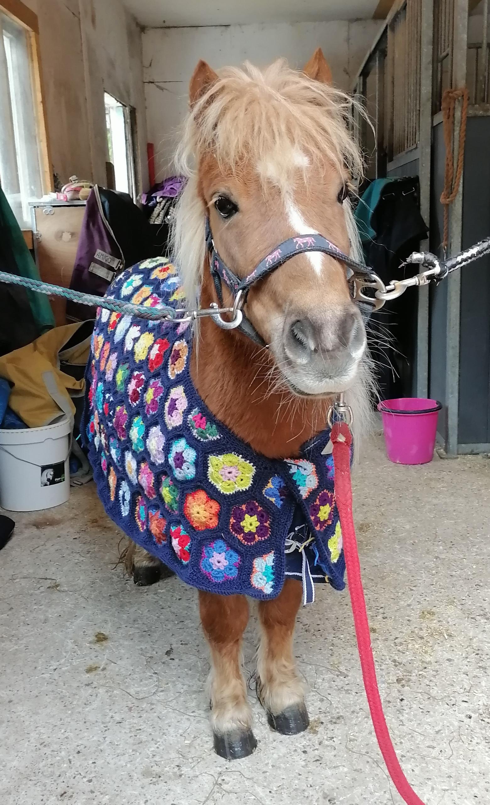 Ylläri-poni virkattu kukkaloimi päällään