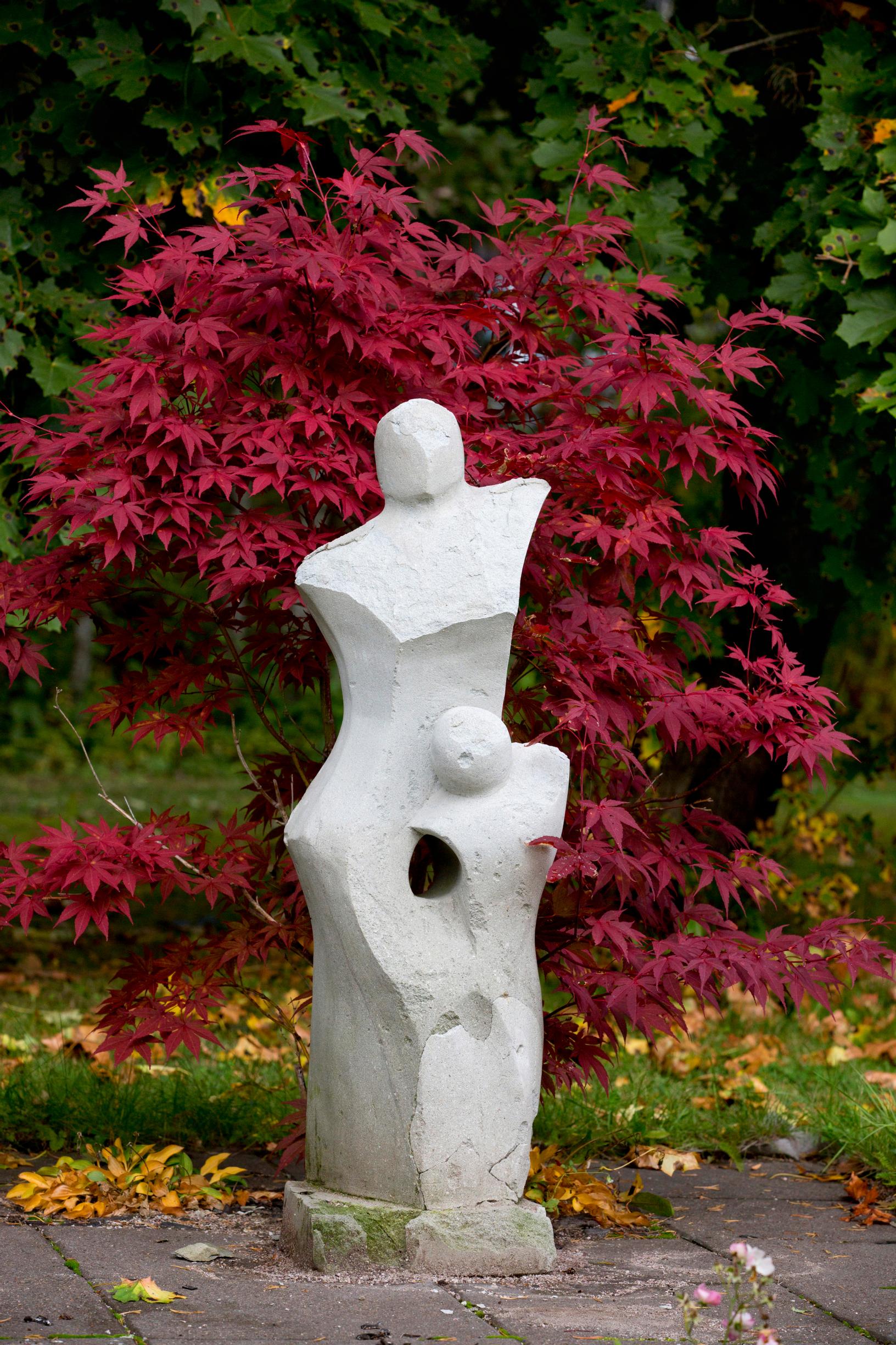 verijapaninvaahtera 'Atropurpureum' syksy ruska