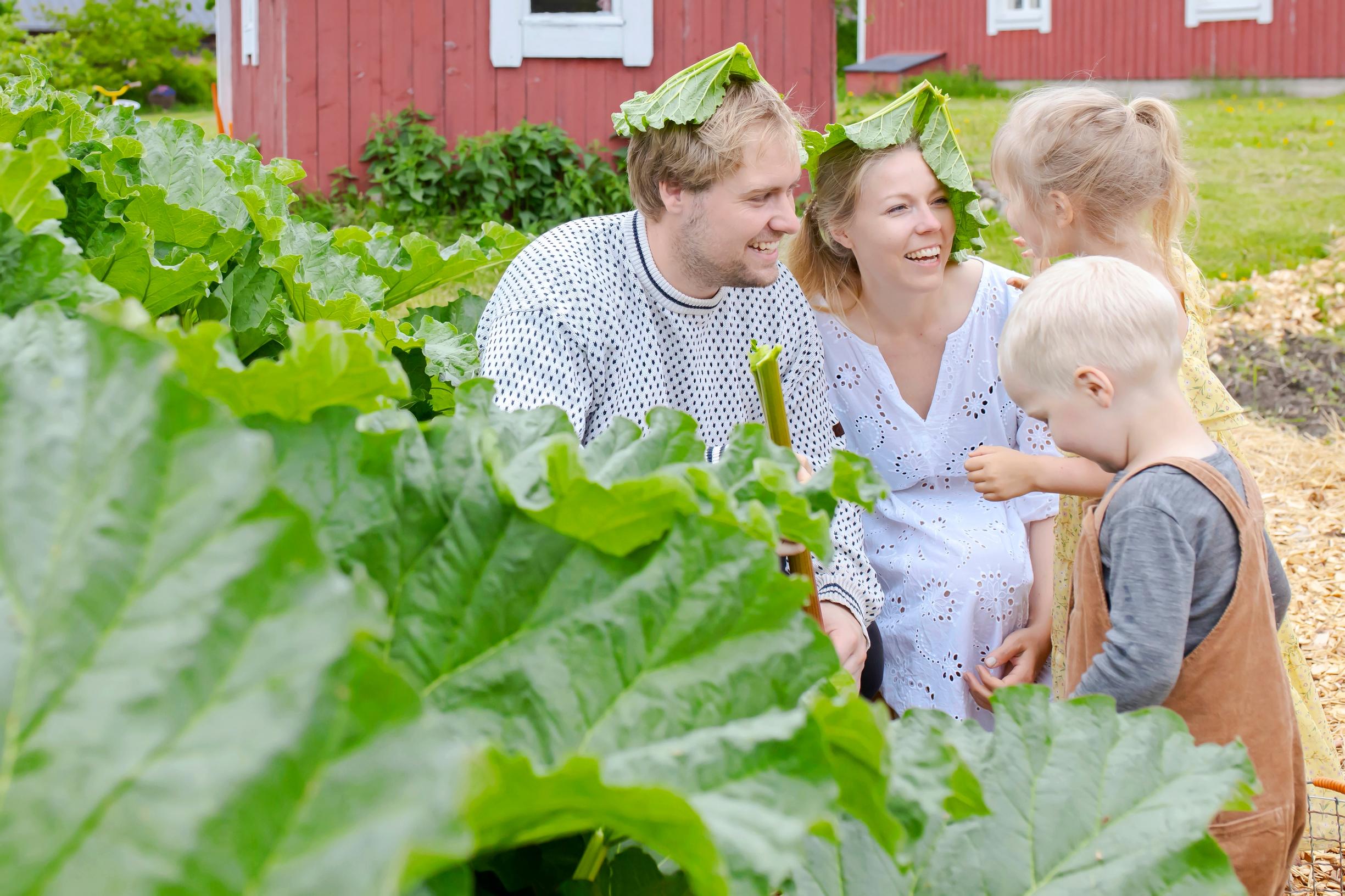 Perhe leikkii raparperinlehdillä