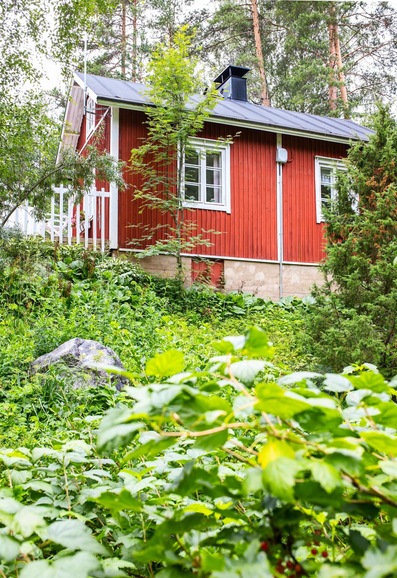 Punamultamökki rinteessä