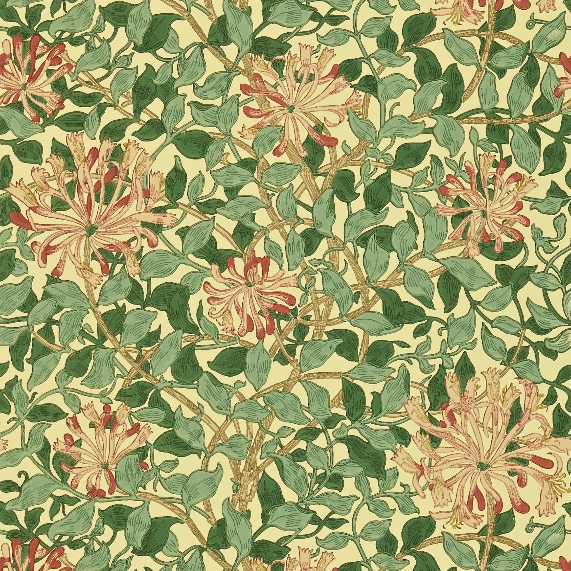 May Morrisin Honeysuckle-kuosi