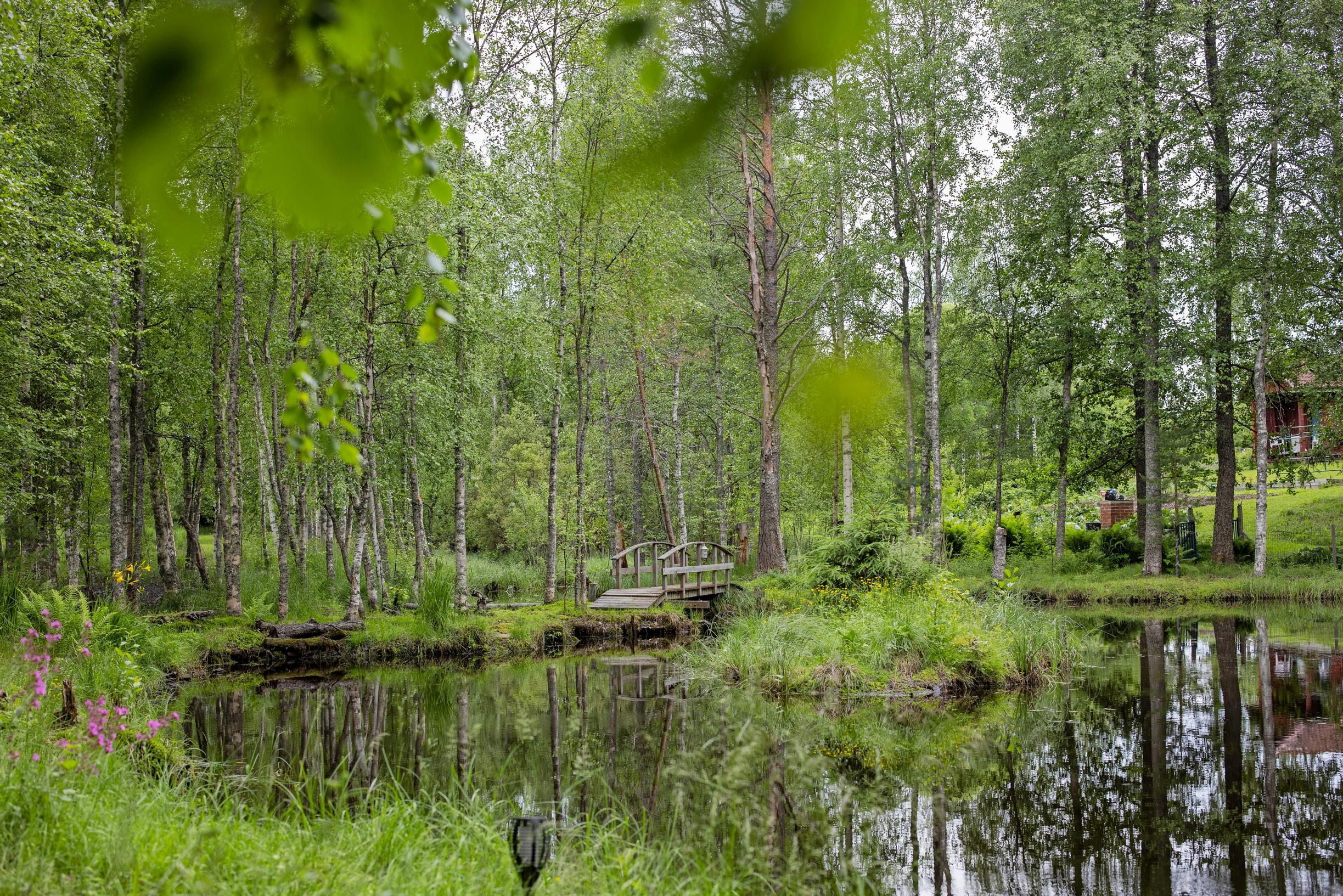 luonnonmukainen puutarha