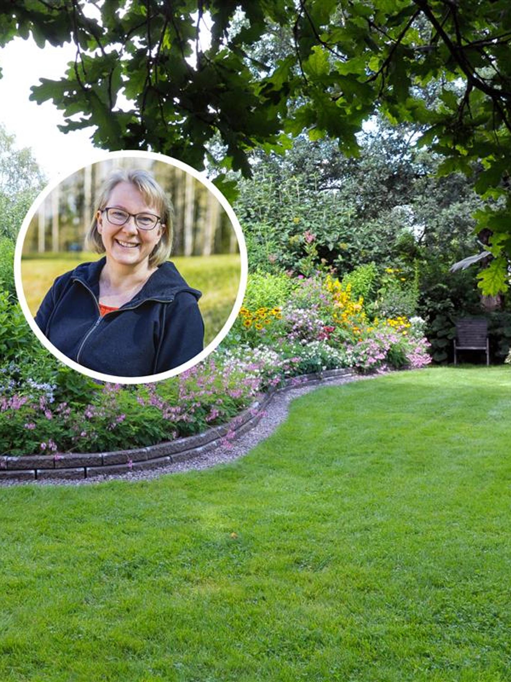 ”Jos totuttaa nurmikon jatkuvaan kasteluun, se vaatii sitä jatkossakin” – asiantuntija neuvoo, milloin ja miten nurmea kannattaa kastella