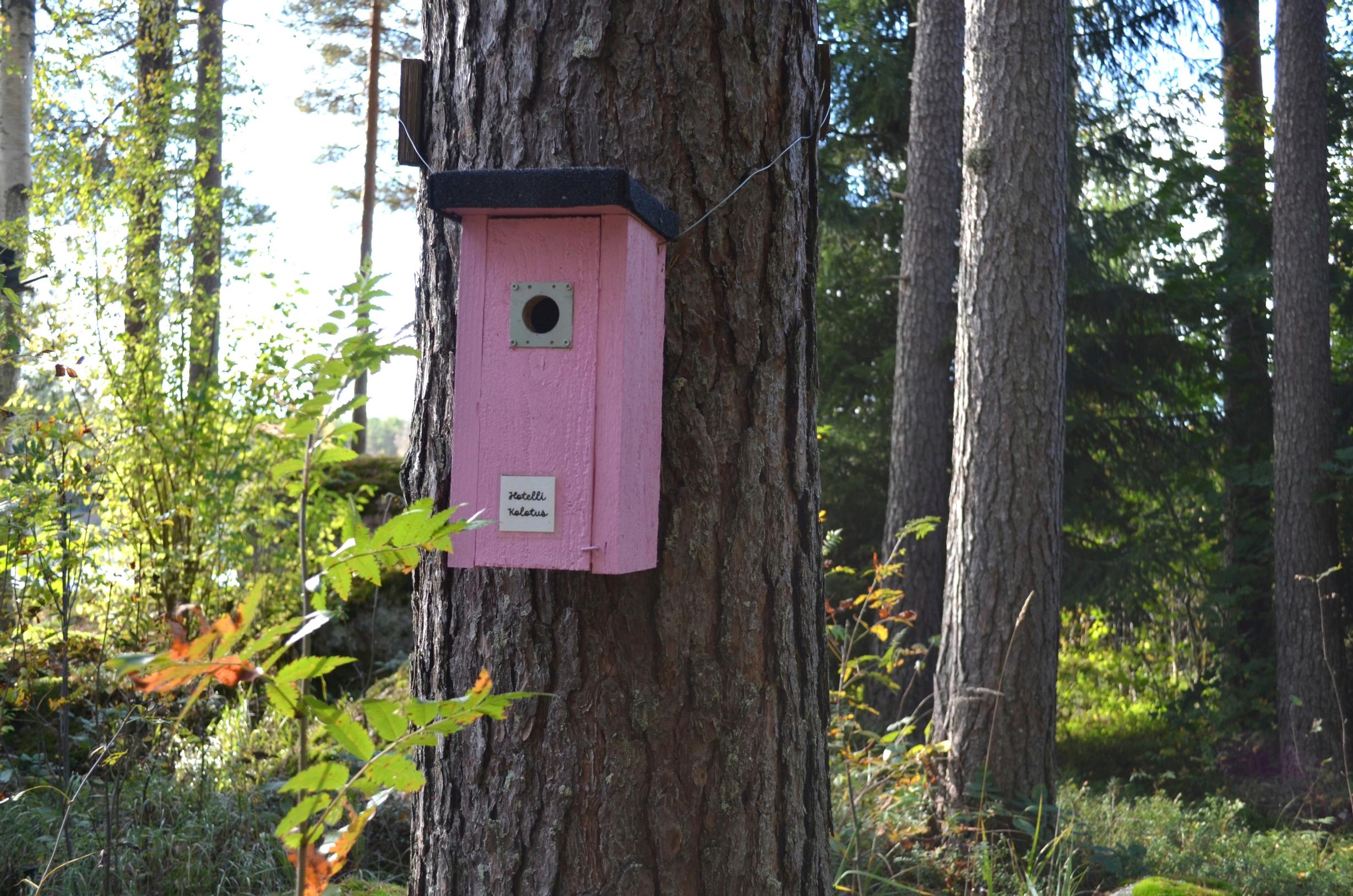 pinkki linnunpönttö puussa, taustalla metsää