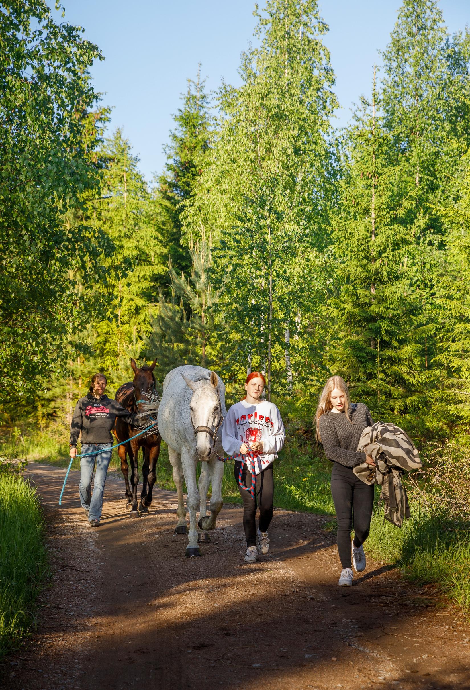 Naiset taluttavat hevosia ulkona