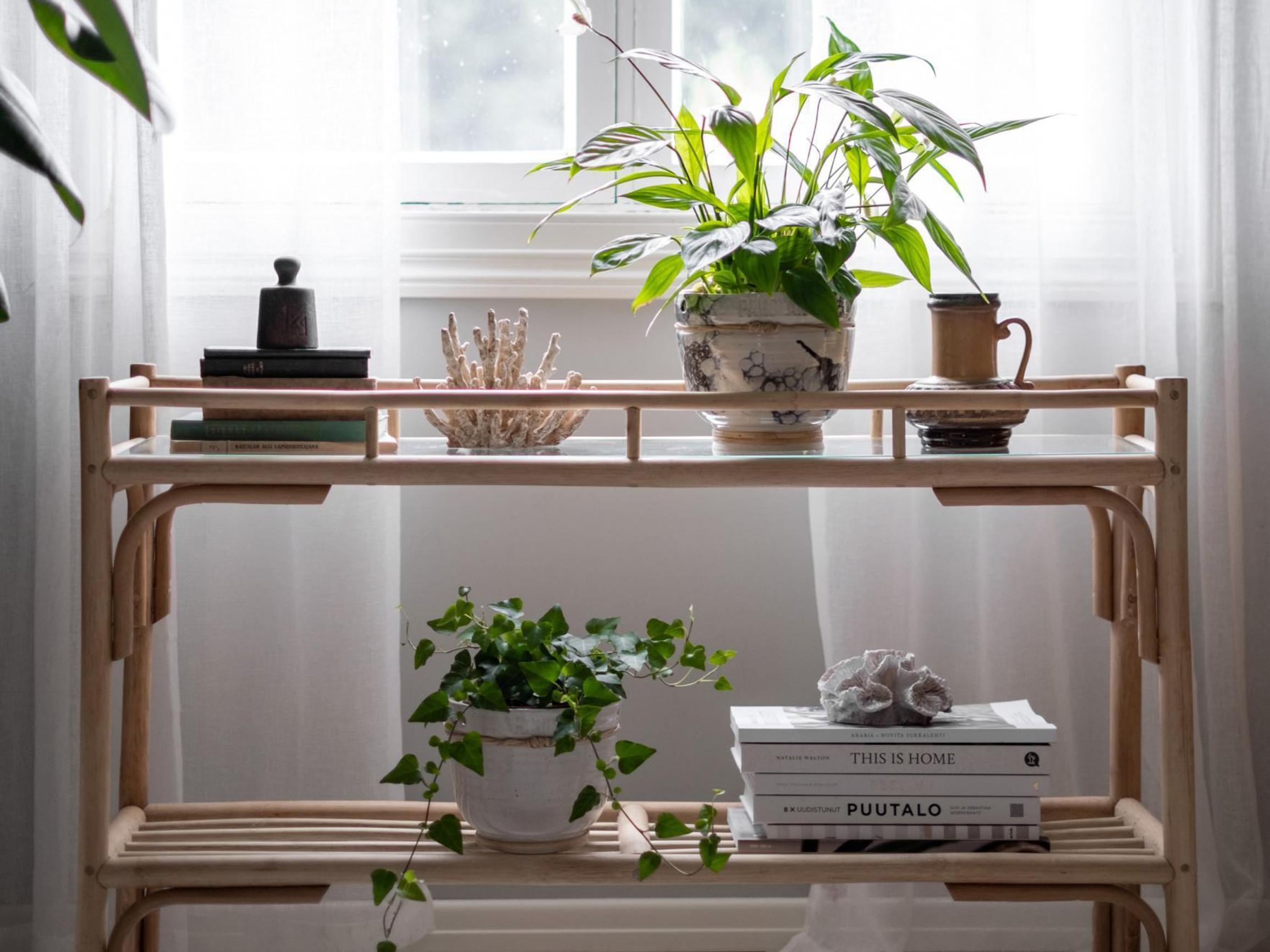 Nosta suosikkisi jalustalle! Tässä 5 erilaista kukkapöytää ja -hyllyä rakkaimmille kasveillesi