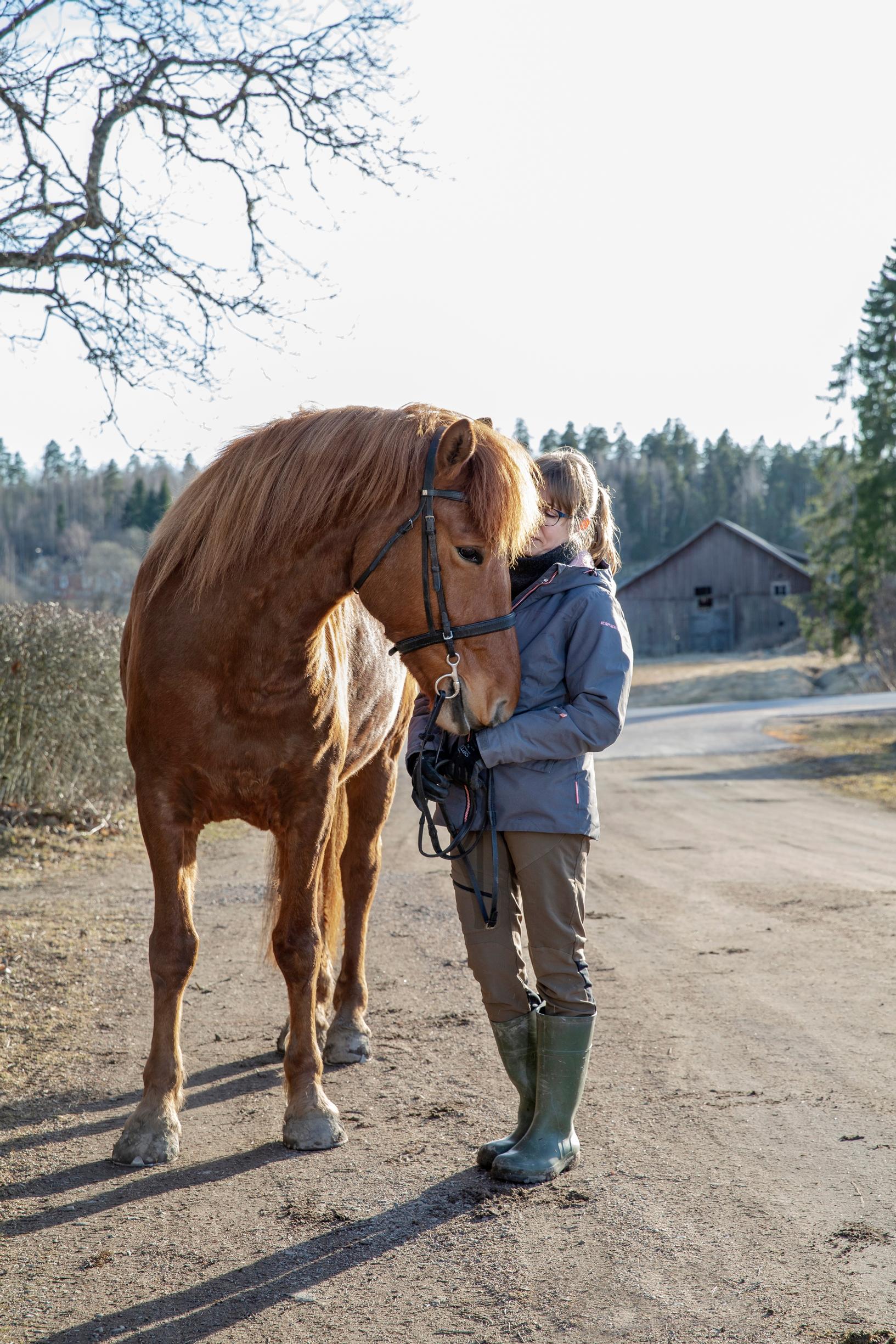 nainen taluttaa suomenhevosta tiellä, hevonen kääntää päänsä naisen syliin