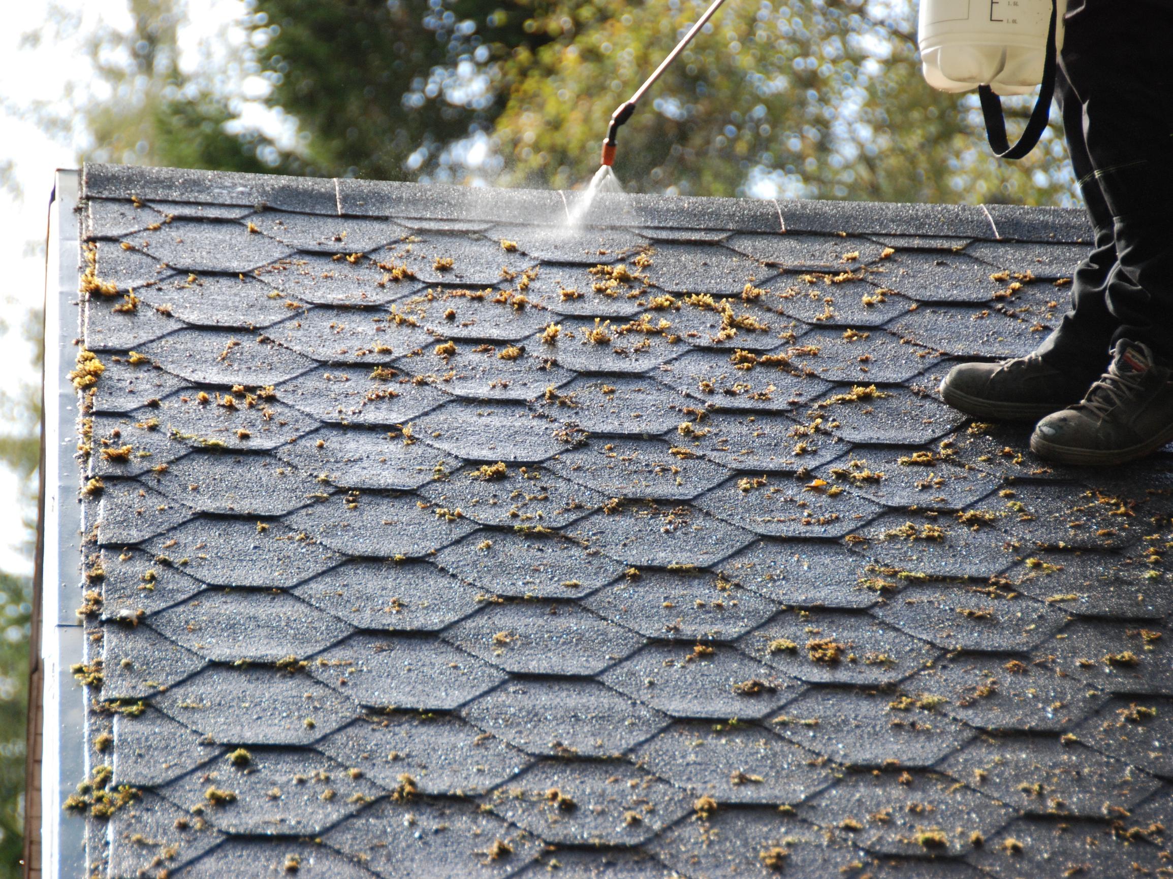 Sammaleen poisto katolta – lue vinkit, joiden avulla pidennät huopa- ja tiilikaton käyttöikää